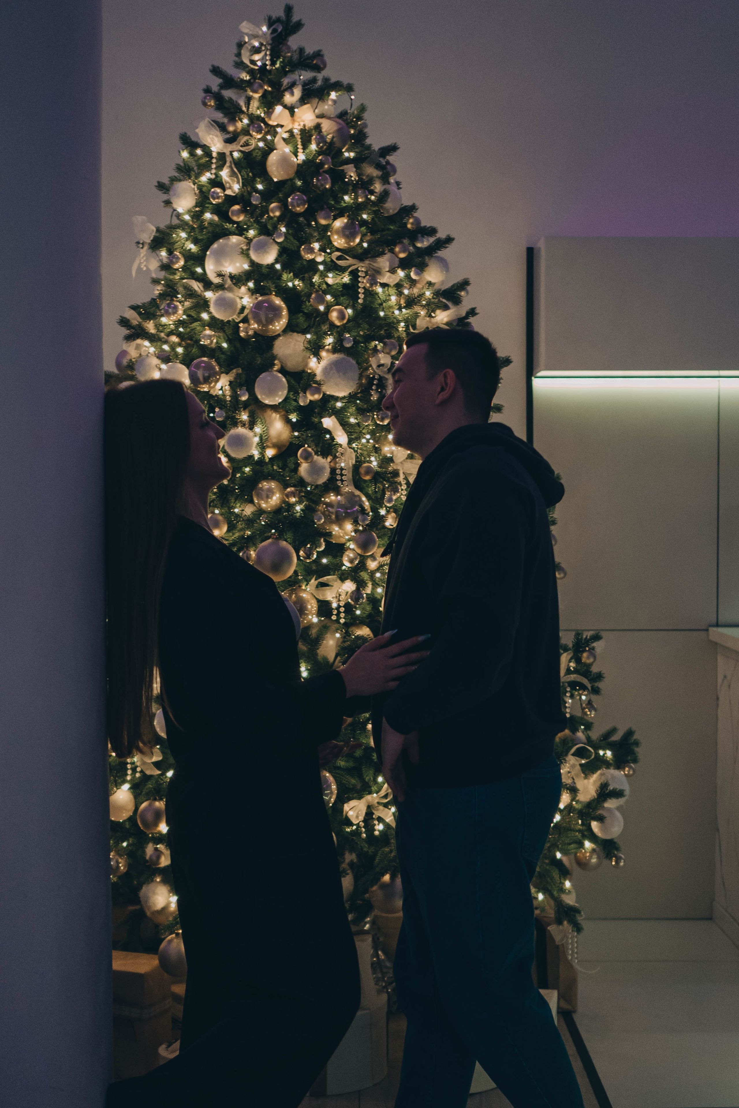 Новогодняя. Профессиональный фотограф, Санкт-Петербург — Виктория Богомолова