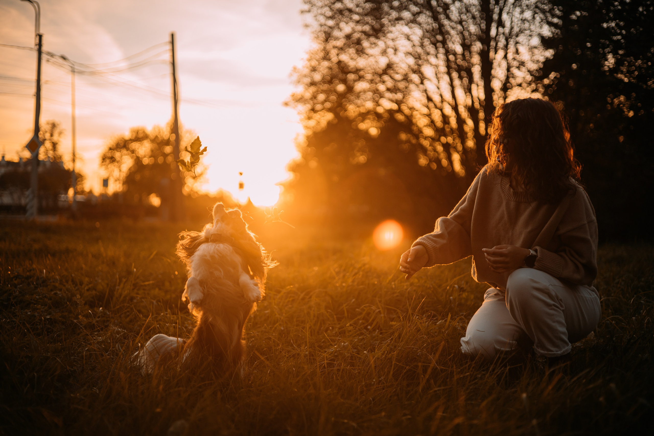 Снежанна и Тесси. Фотограф — анималист •love-story•|Санкт-Петербург