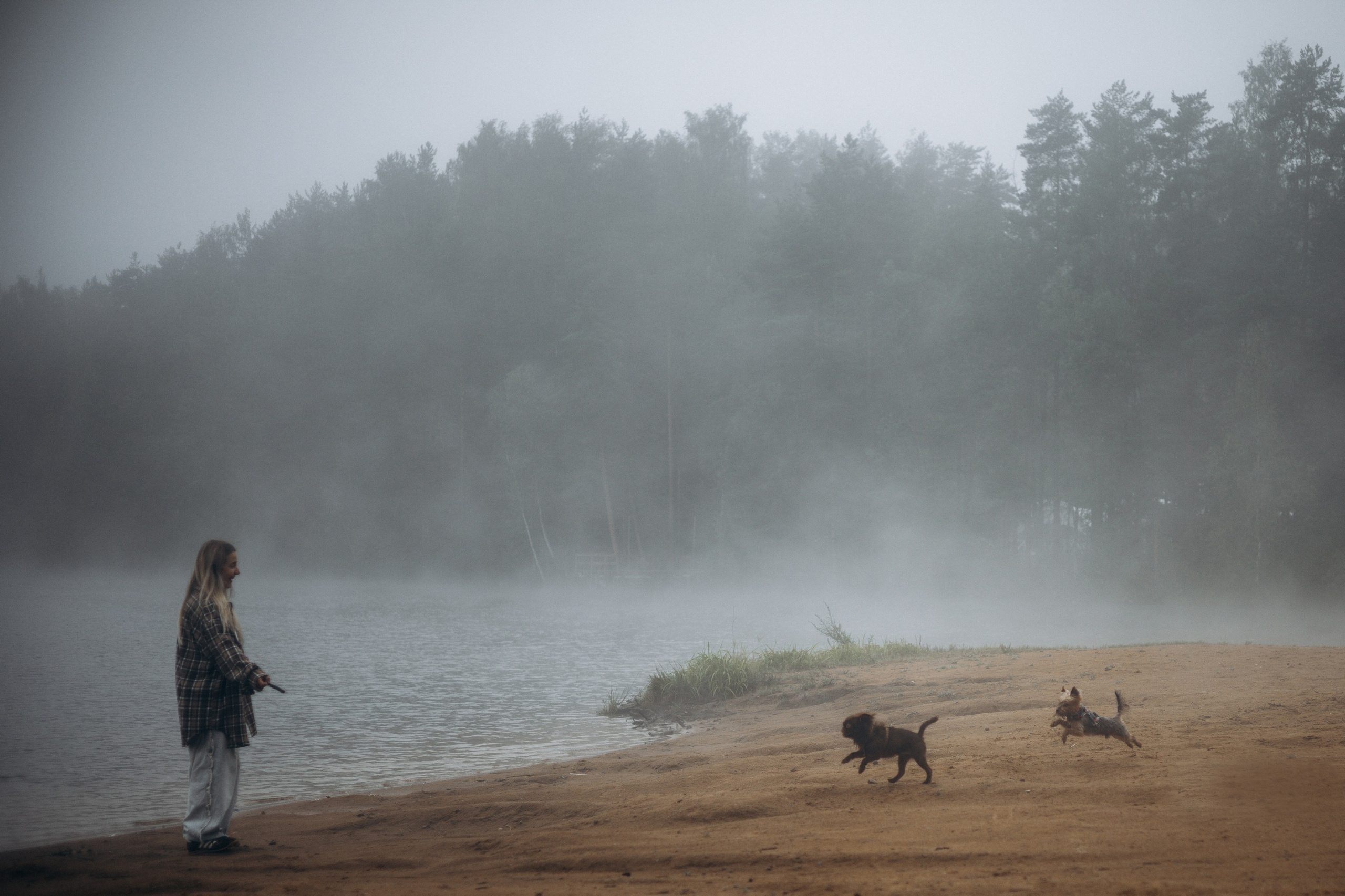 Наташа & Оззи & Йоша. Фотограф — анималист •love-story•|Санкт-Петербург