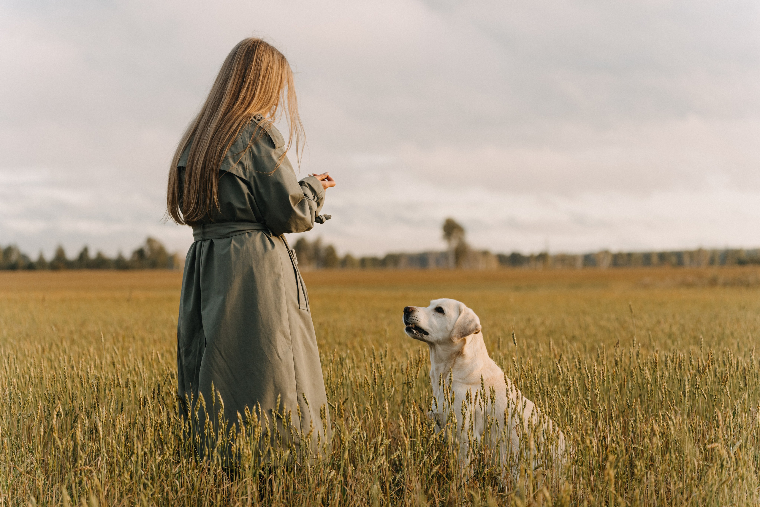 Дана и Арчи. Фотограф-анималист Анастасия Большакова