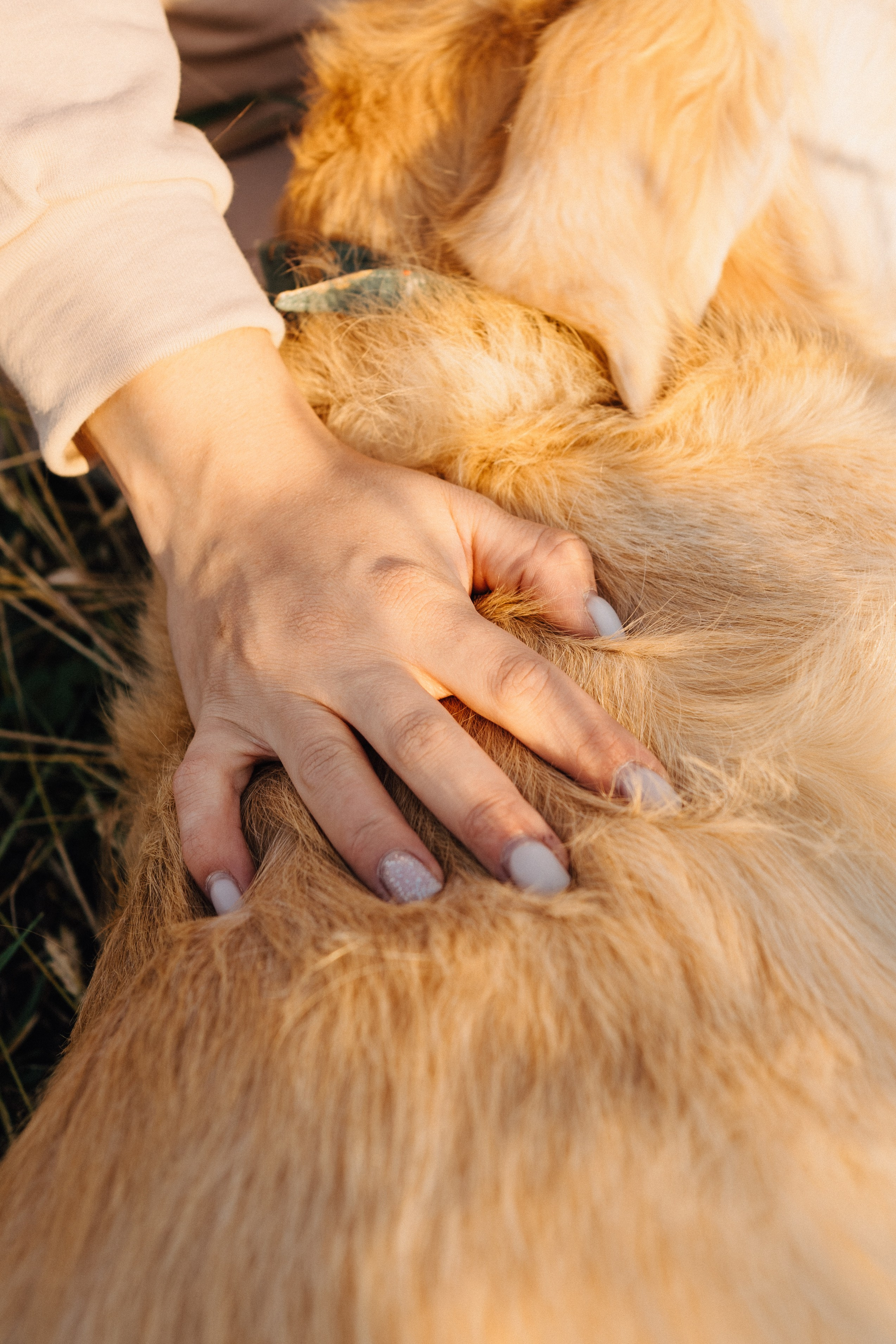 Дарья, Люба и Ред. Фотограф-анималист Анастасия Большакова