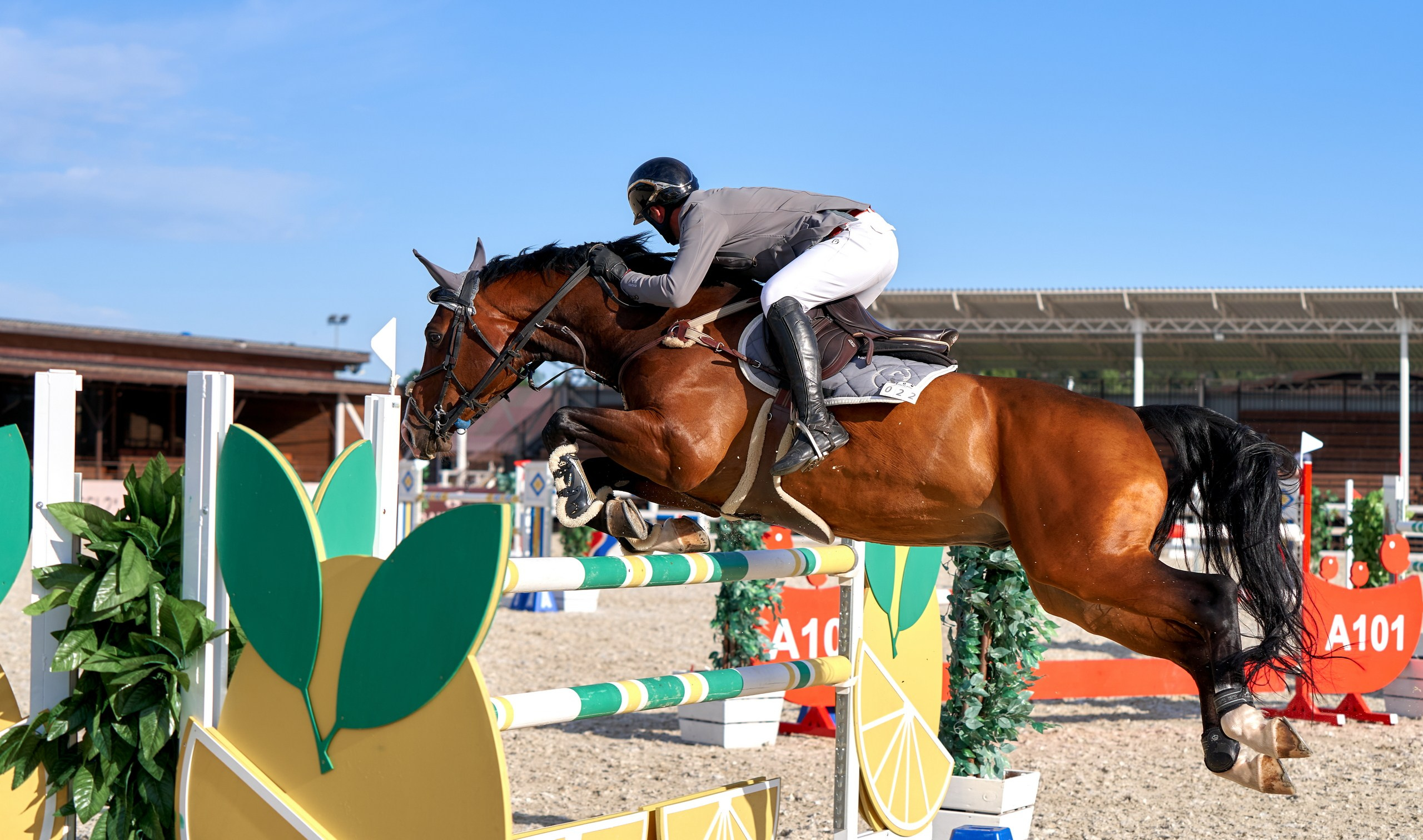 Соревнования на лошадях — галерея NATRIEL