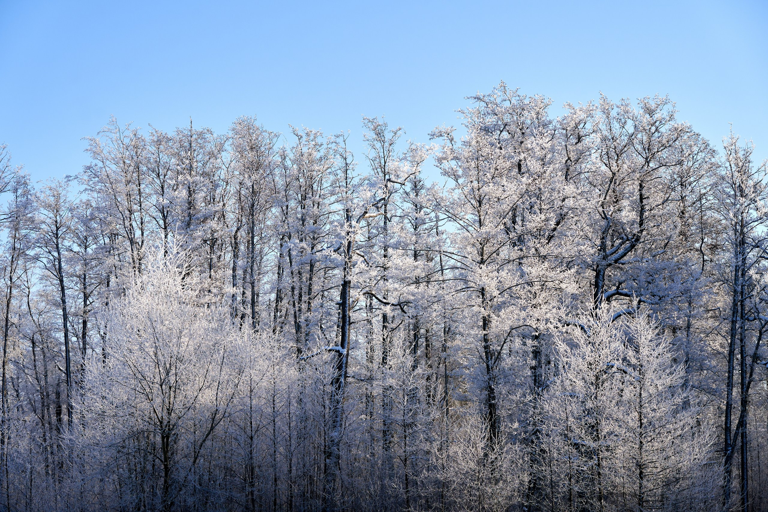 Пейзаж — галерея NATRIEL