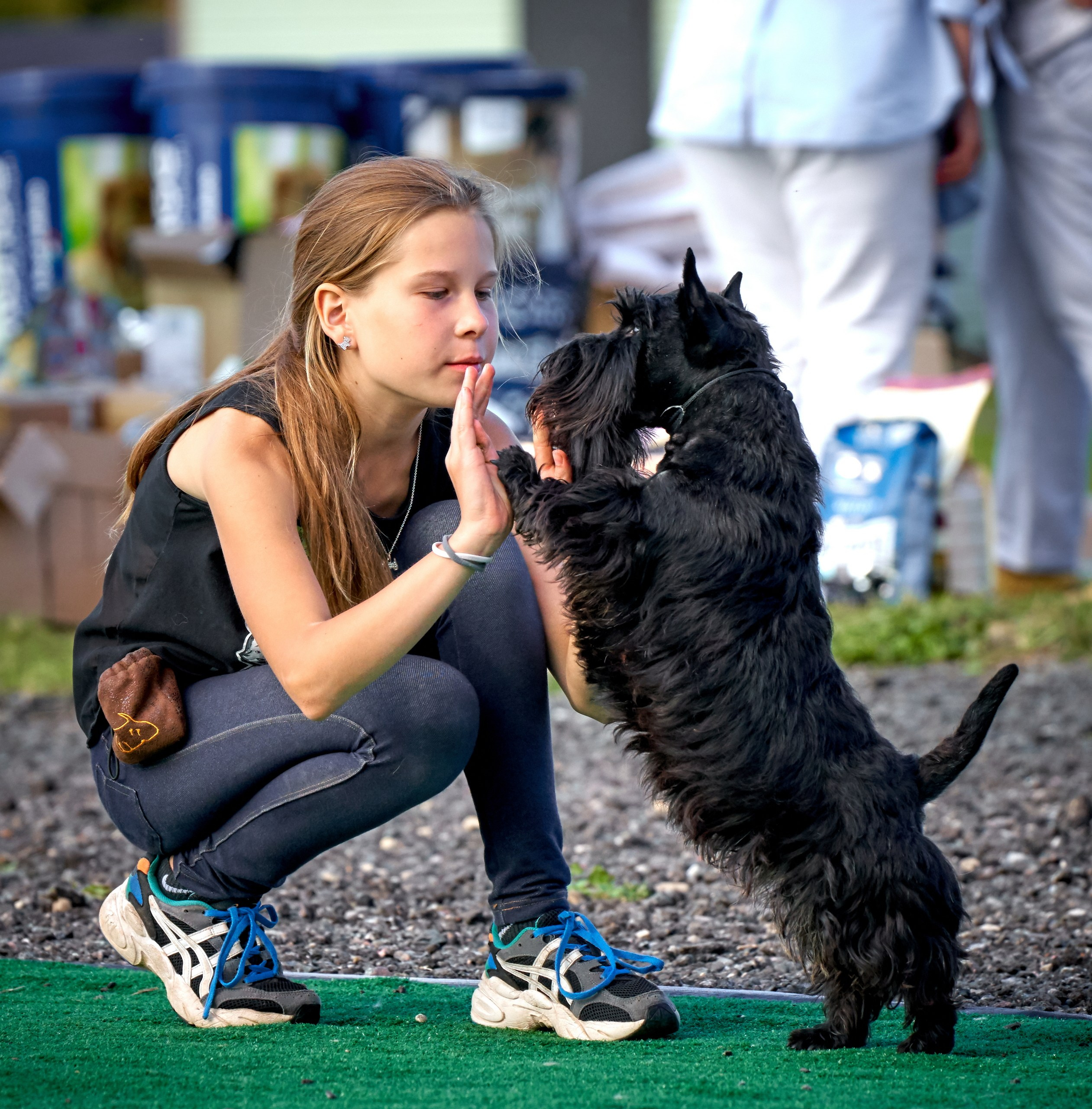 Мероприятия с собаками — галерея NATRIEL