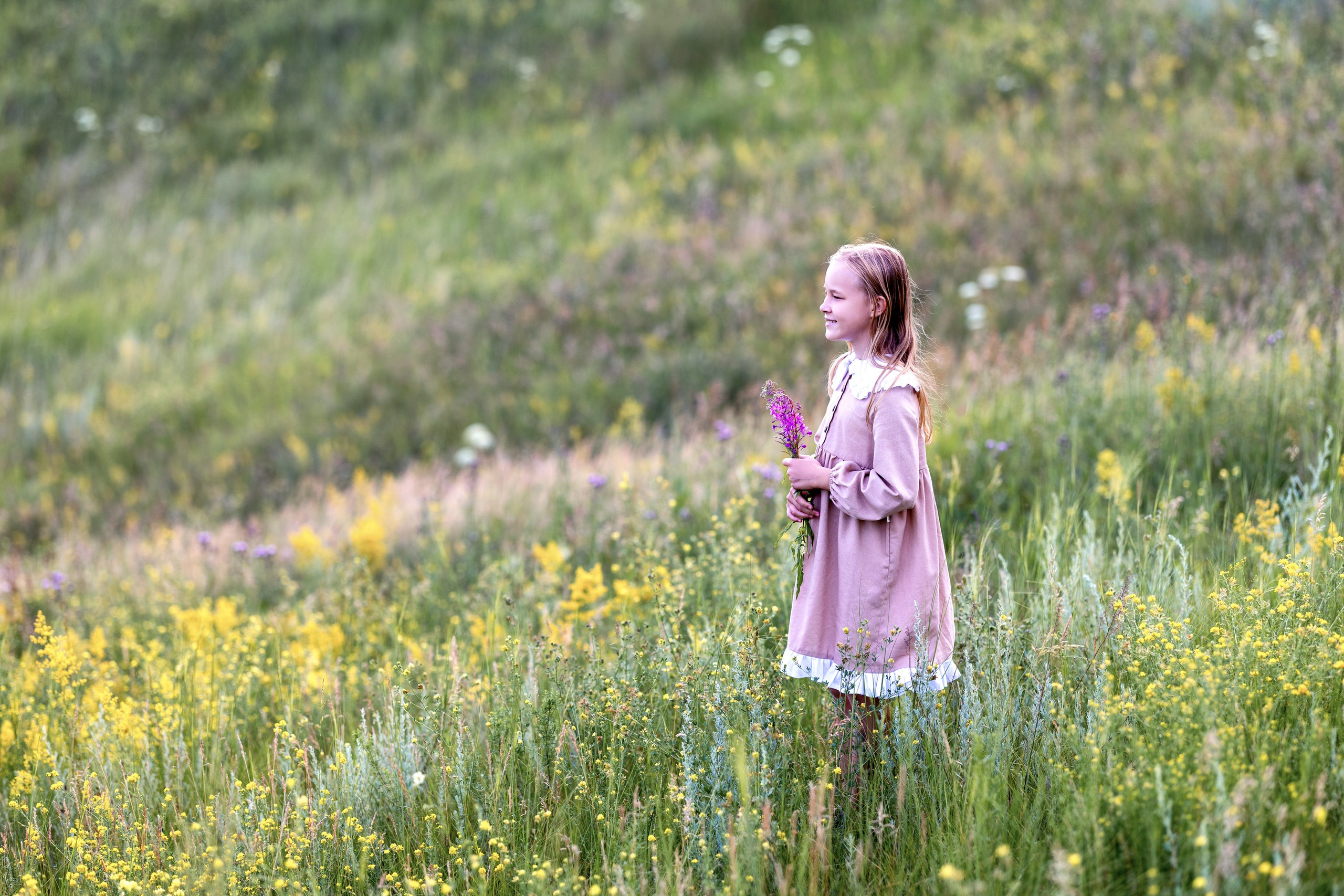 Цветущие поля. Семейный и детский фотограф в Красноярске, Дивногорцева Светлана