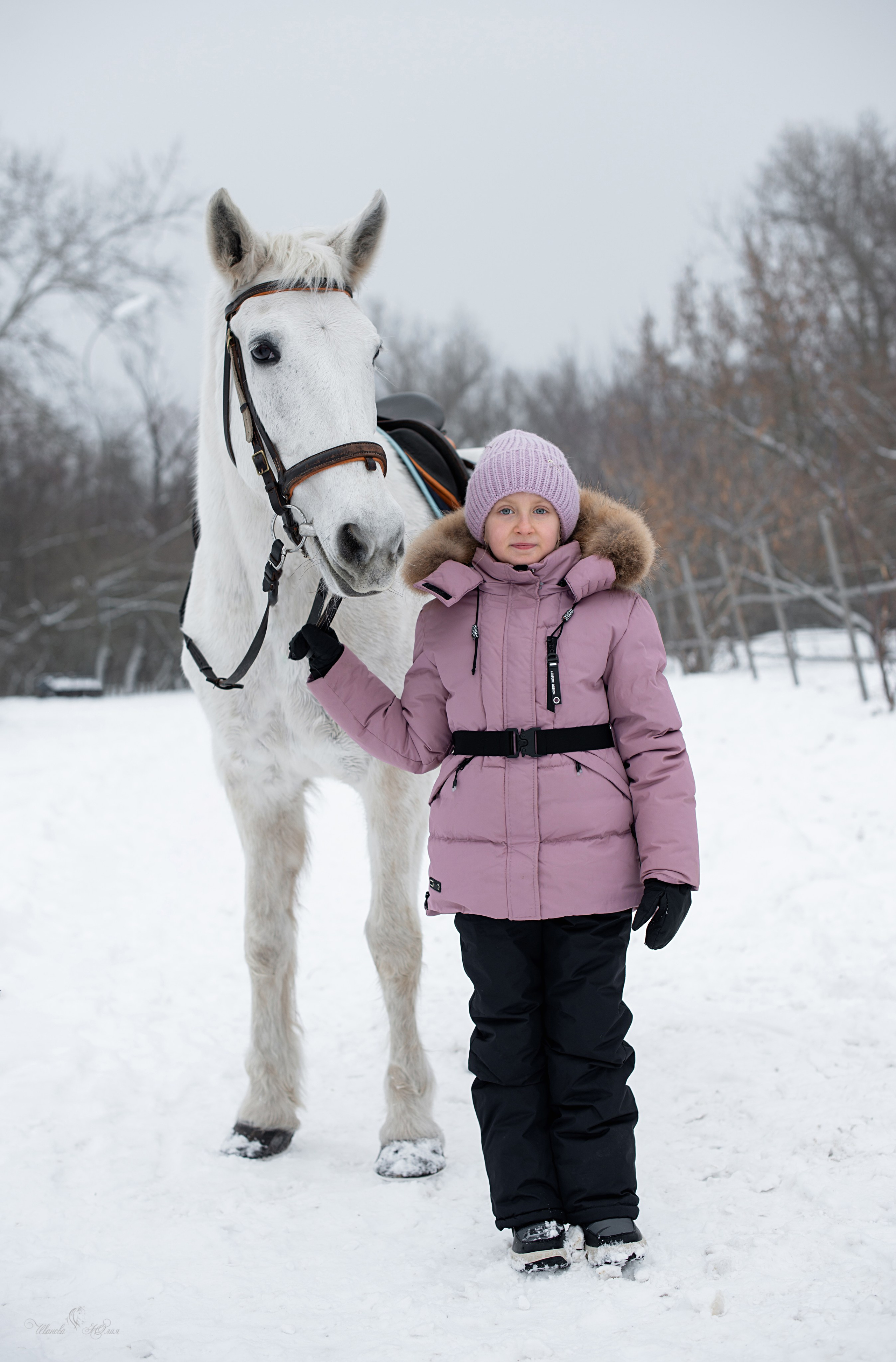 Прогулка с лошадьми. Конный фотограф в Саратове Юлия Иванова
