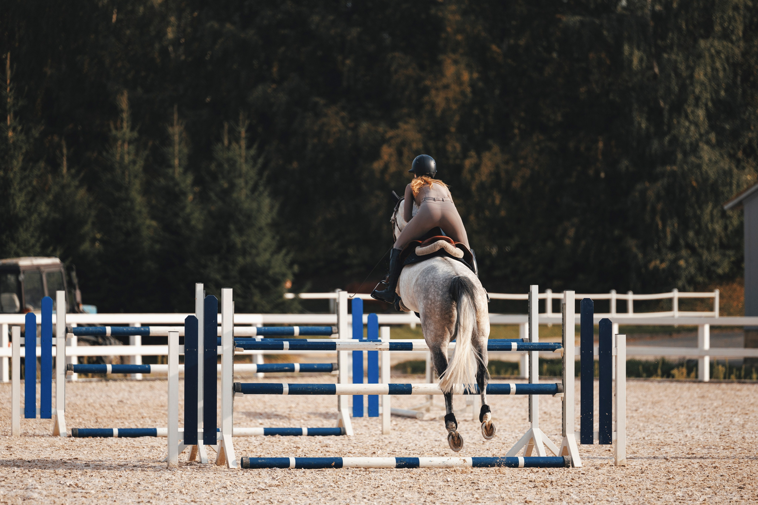 Конкур. Фотограф-анималист Анна Маринич