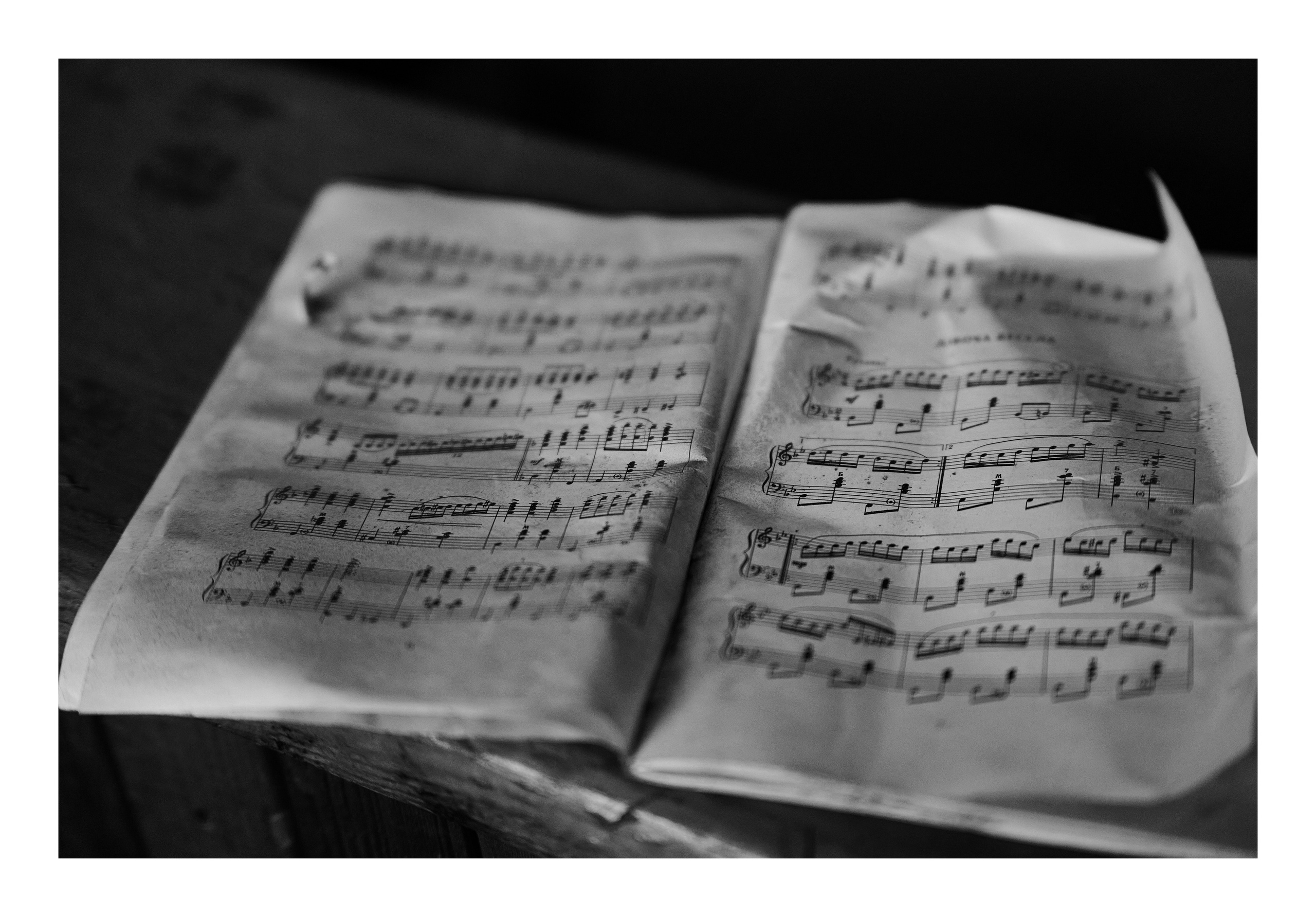 Фотопринты А3. Фотопроект «Территории»