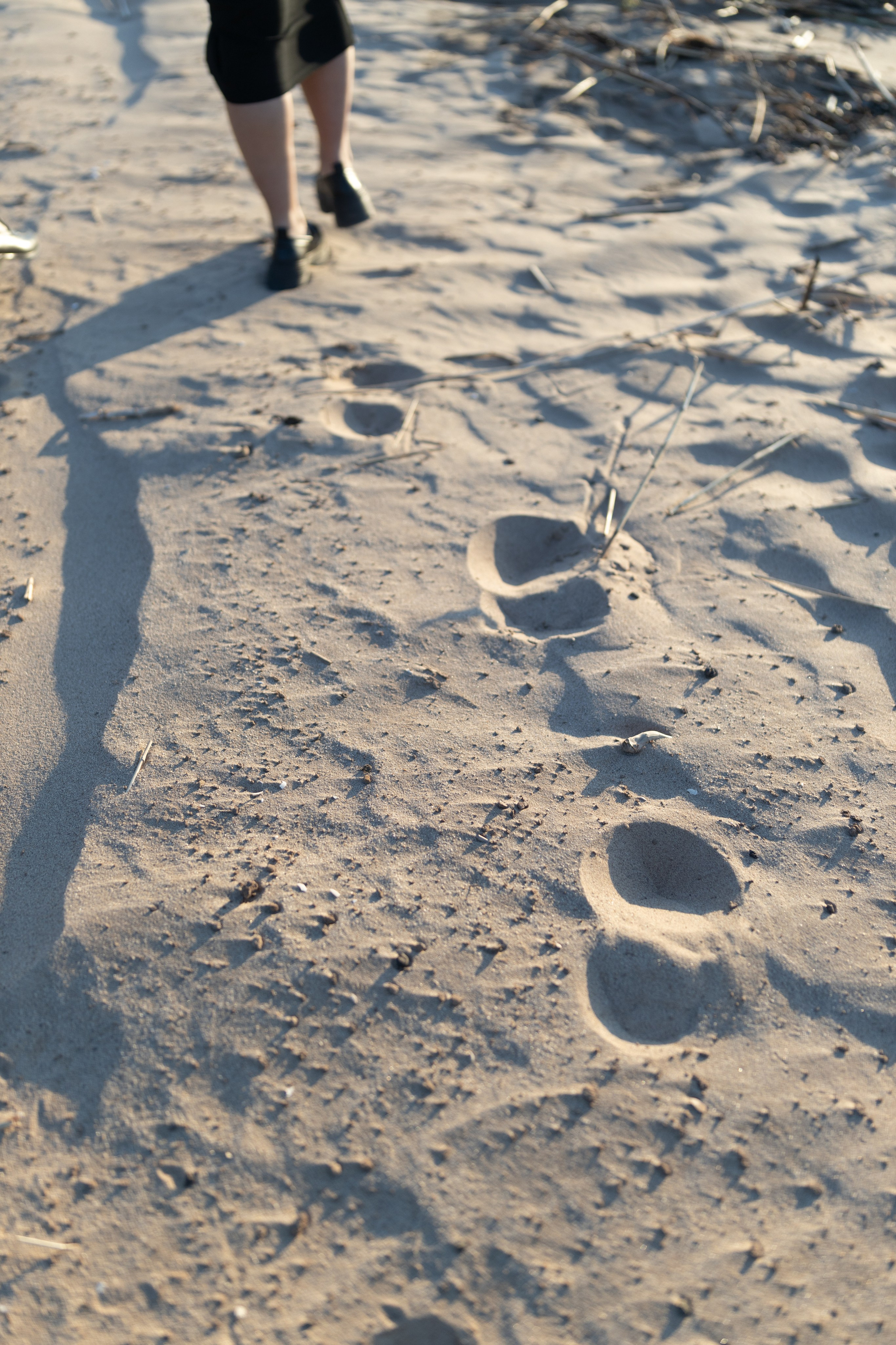 Рома и Ангелина. Ланемец Юлия — фотограф Волгоград/Волжский
