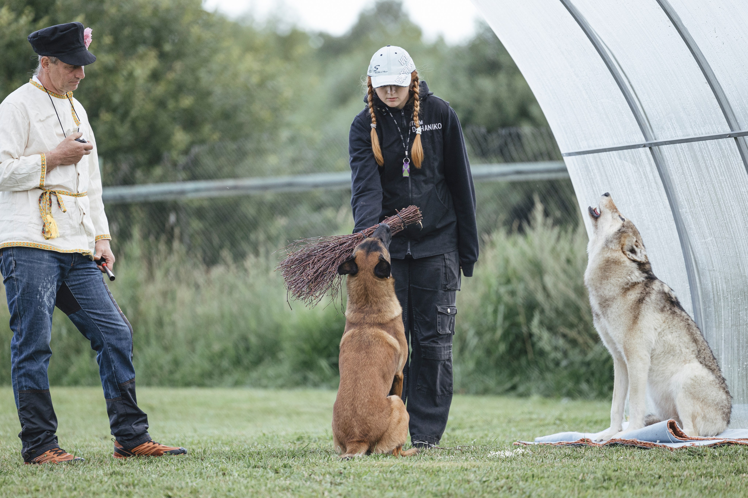 08.08.25-10.08.25 ЧР по мондьорингу г. Вологда. Фотограф-анималист Анна Маринич
