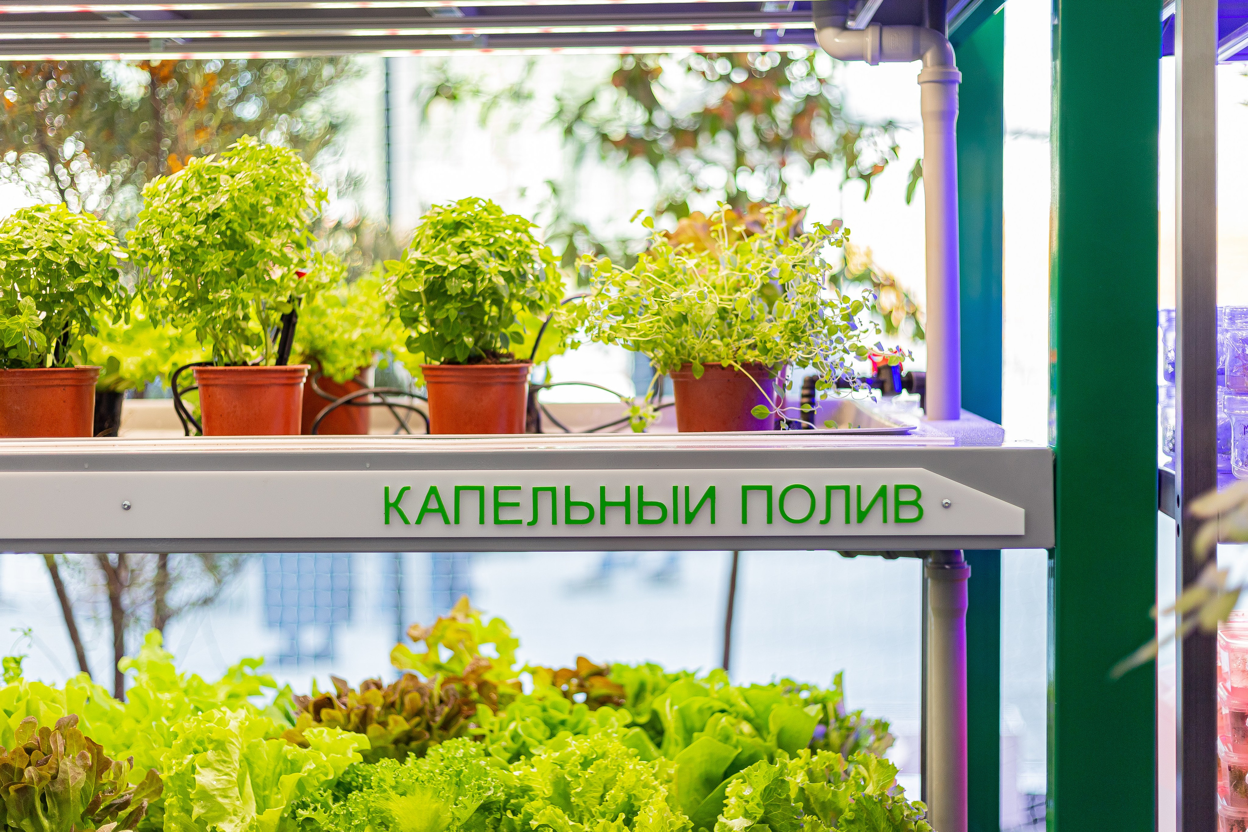 Открытие Технопарка Физтех-Лицея. Семейный и бизнес фотограф в Москве Валерия Литвак