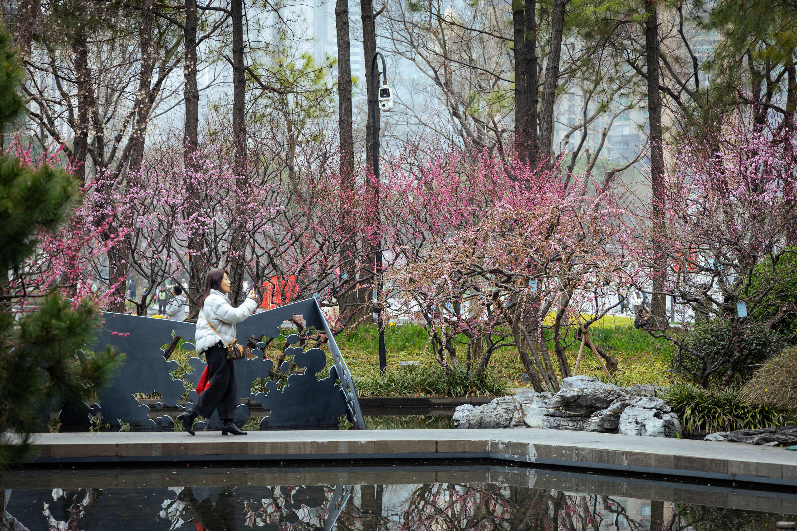 Шанхай (март 2026). Фотограф Виноградов Константин