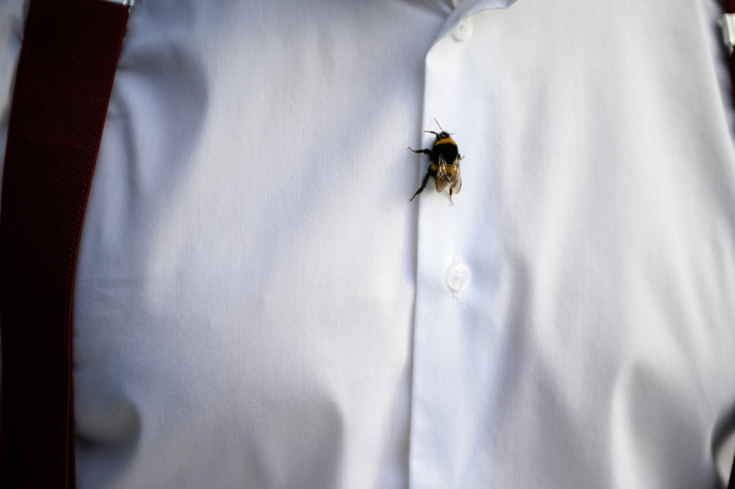 Свадебный фотограф в Москве, Серпухове и МО. Свадебный фотограф в Москве Артём Кившарь