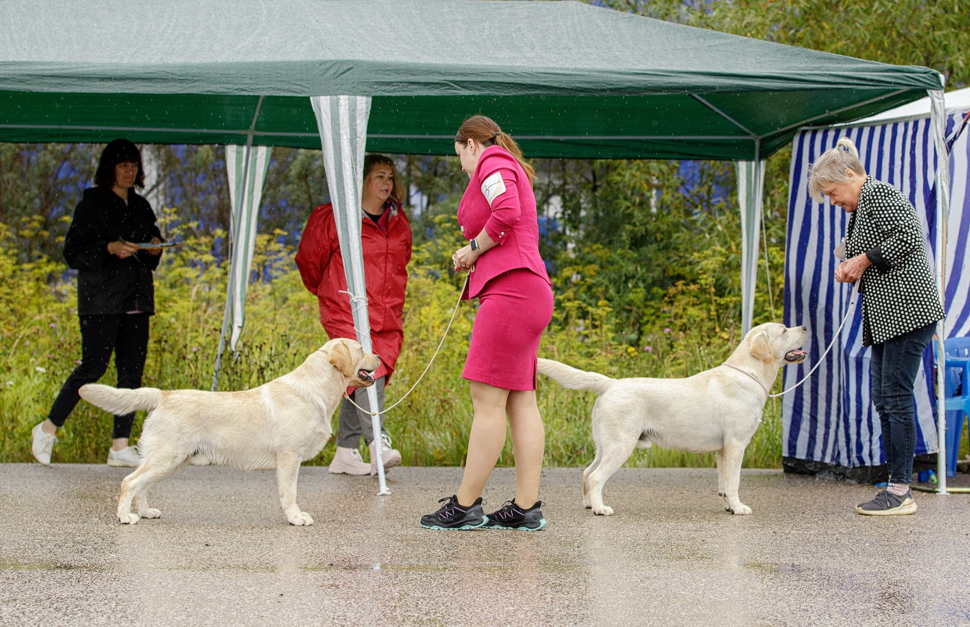 Выставки. Фотограф-анималист в Калуге Мария Шерскова