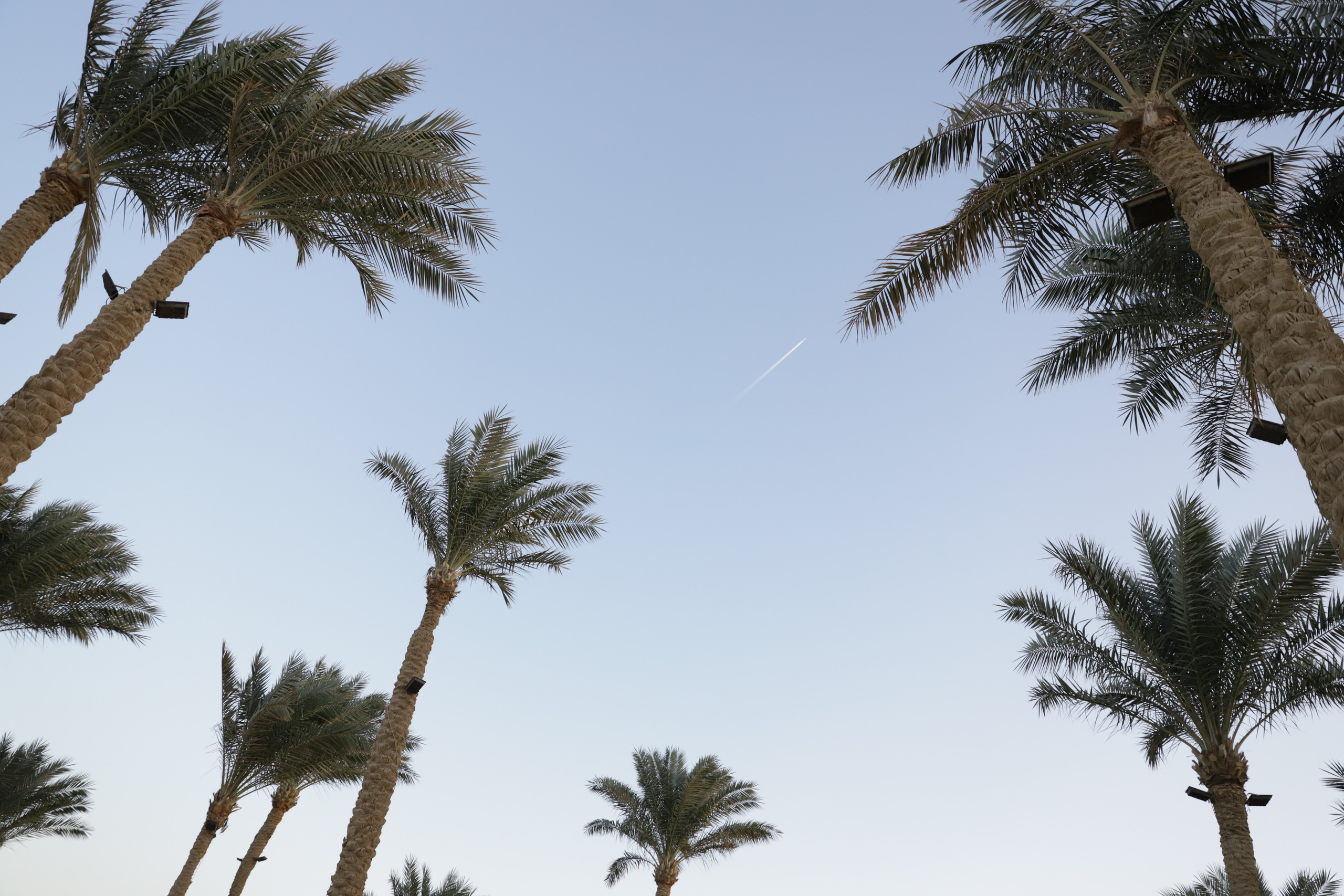 Шарм-Эль-Шейх. Светлана Иванова - профессиональный фотограф