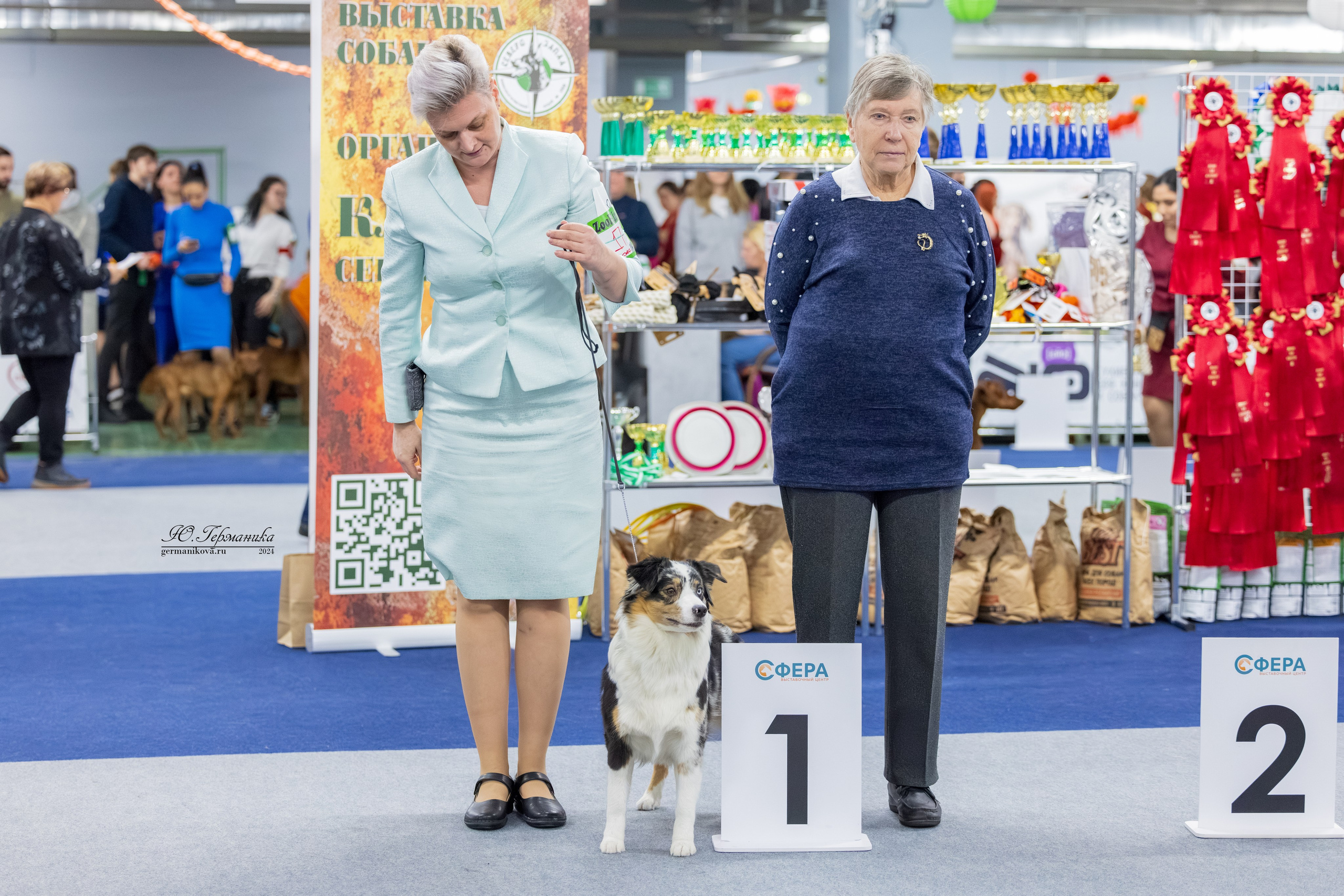 Сфера 08 и 10.03.2024 2хмоно ротвейлеров+2хмоно сао. Фотограф-анималист Юлия Германика