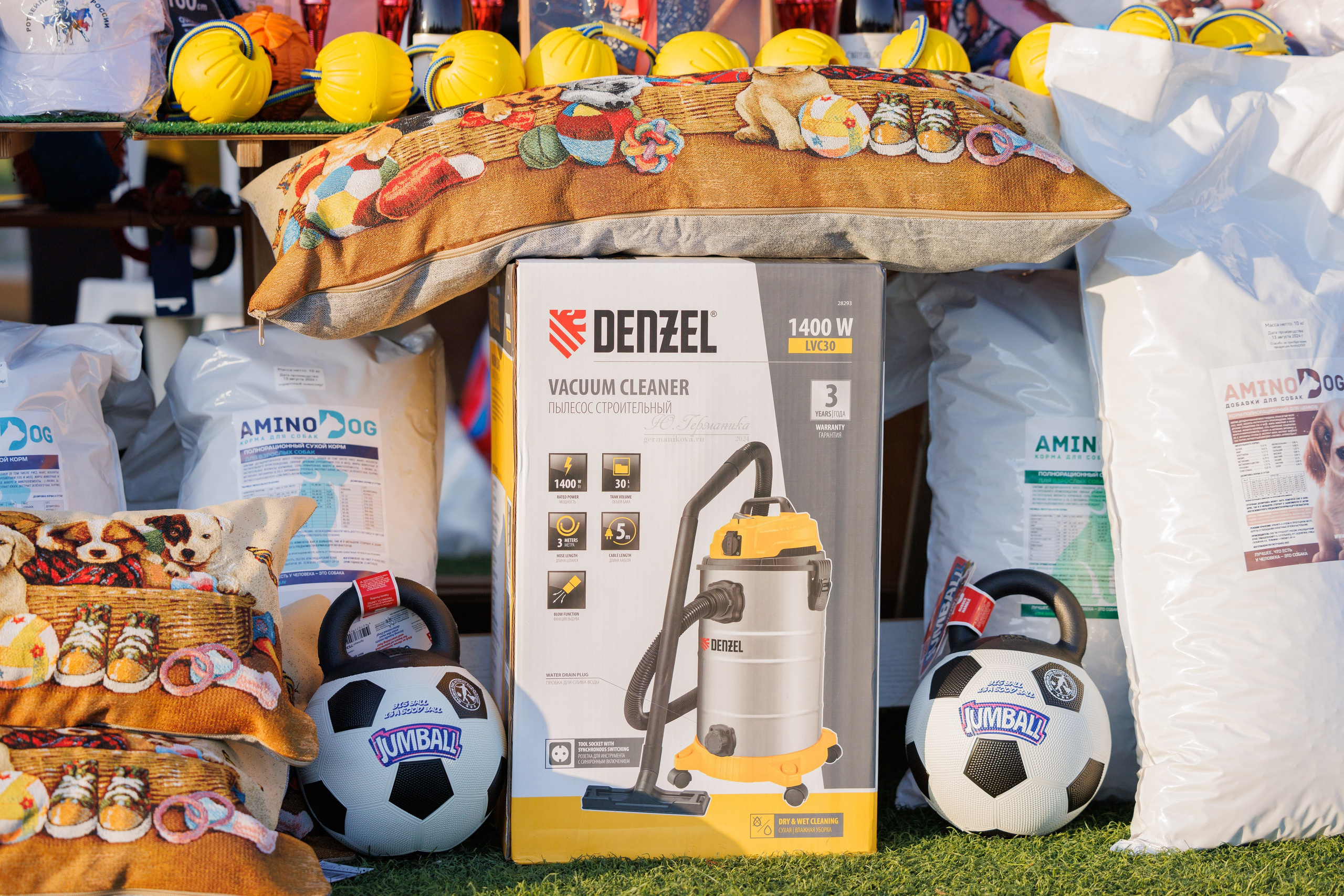 Анапа ротвейлеры 14-15.09.2024. Фотограф-анималист Юлия Германика