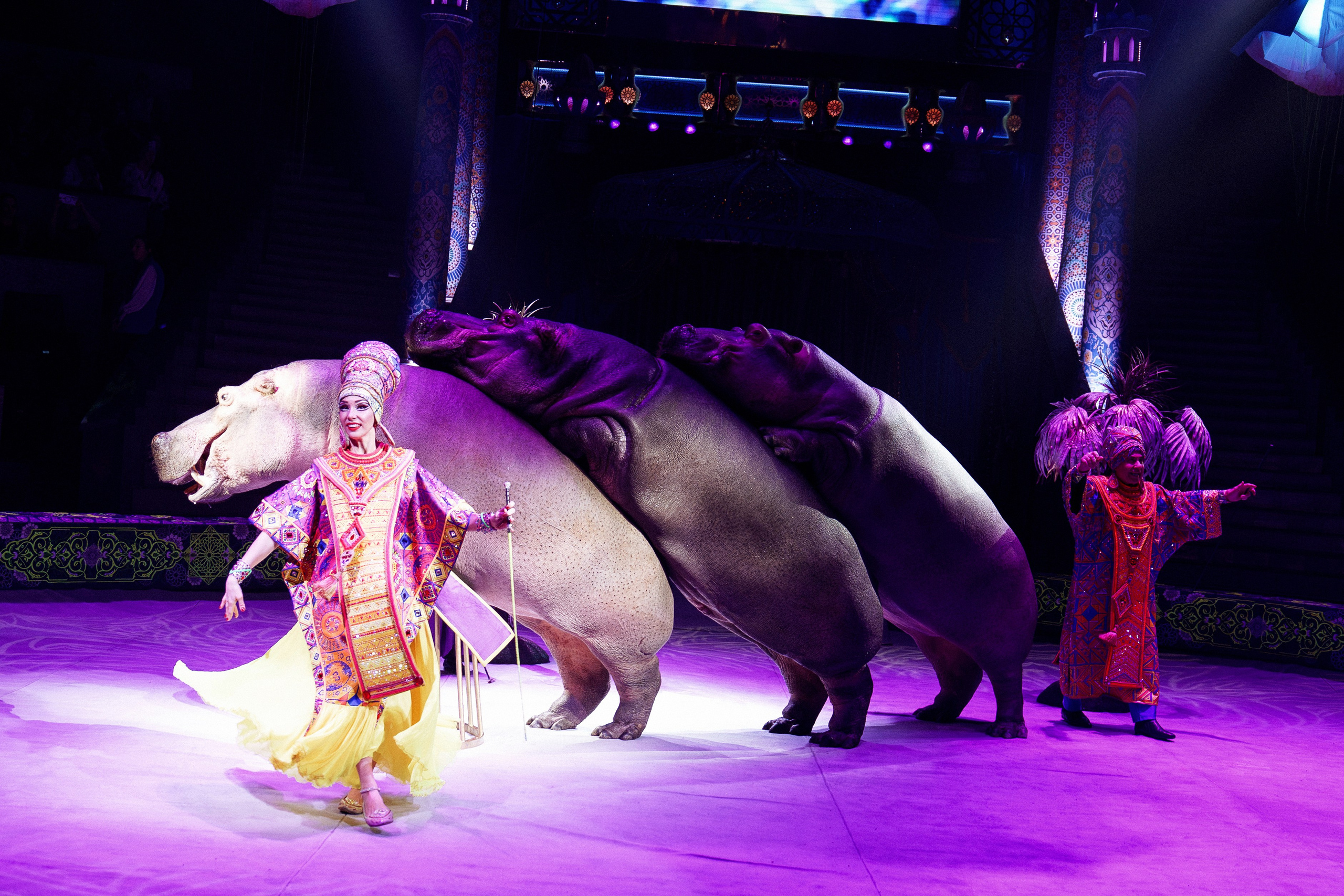 Новое шоу Гии Эрадзе «ПЕСЧАНАЯ СКАЗКА». Фотомастерская Воробьевых