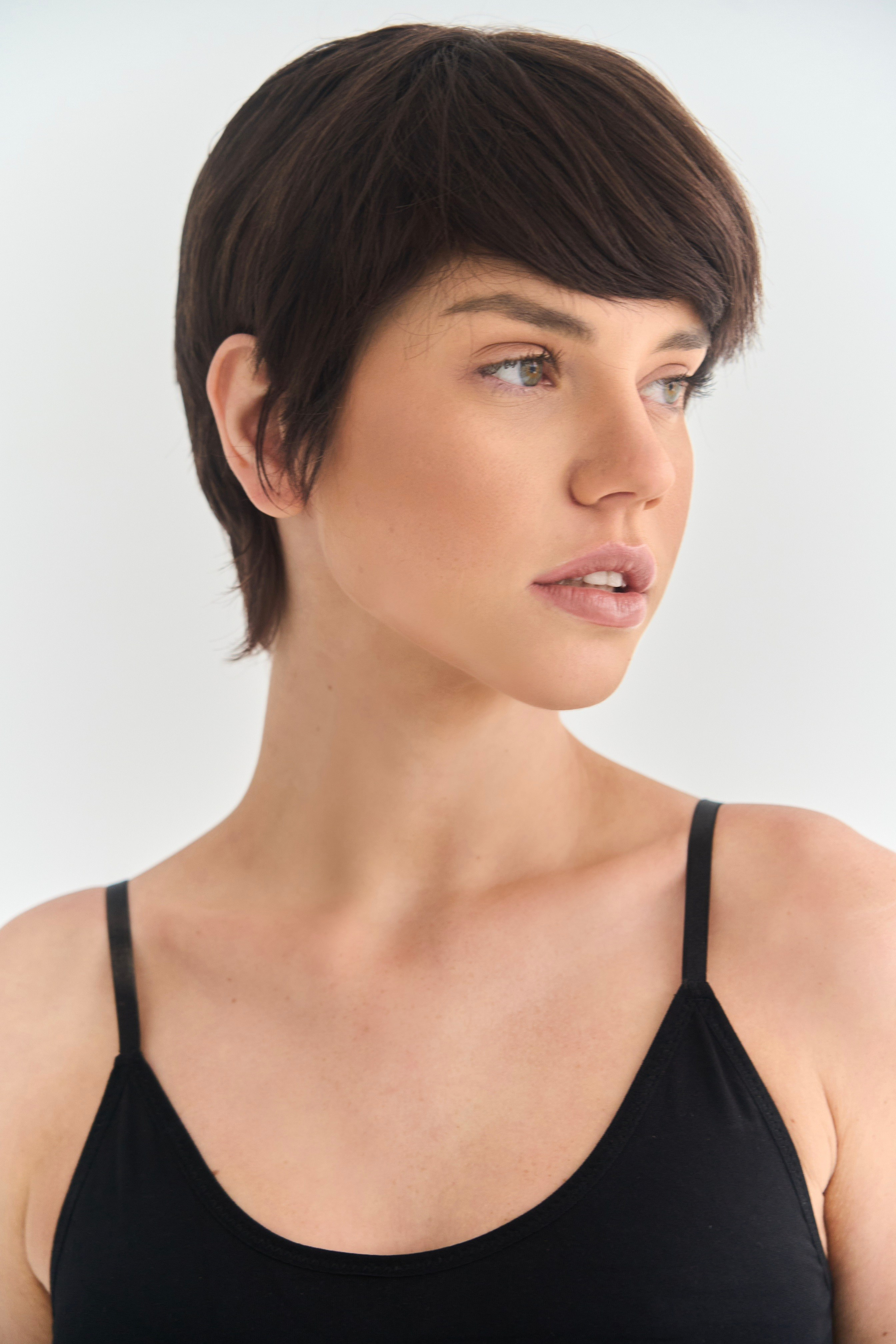 Снепы. Главная