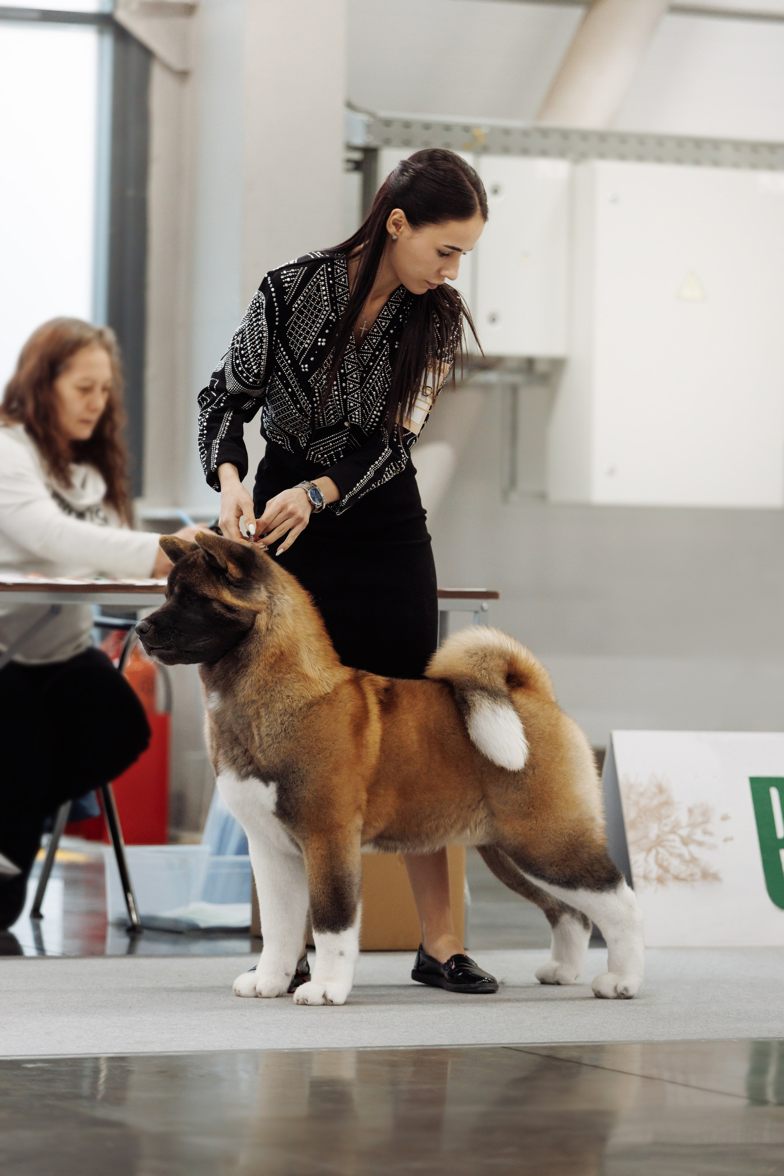 29-30.11.2025 — Казань «Зилант». Фотограф-анималист Саша Вязьмина