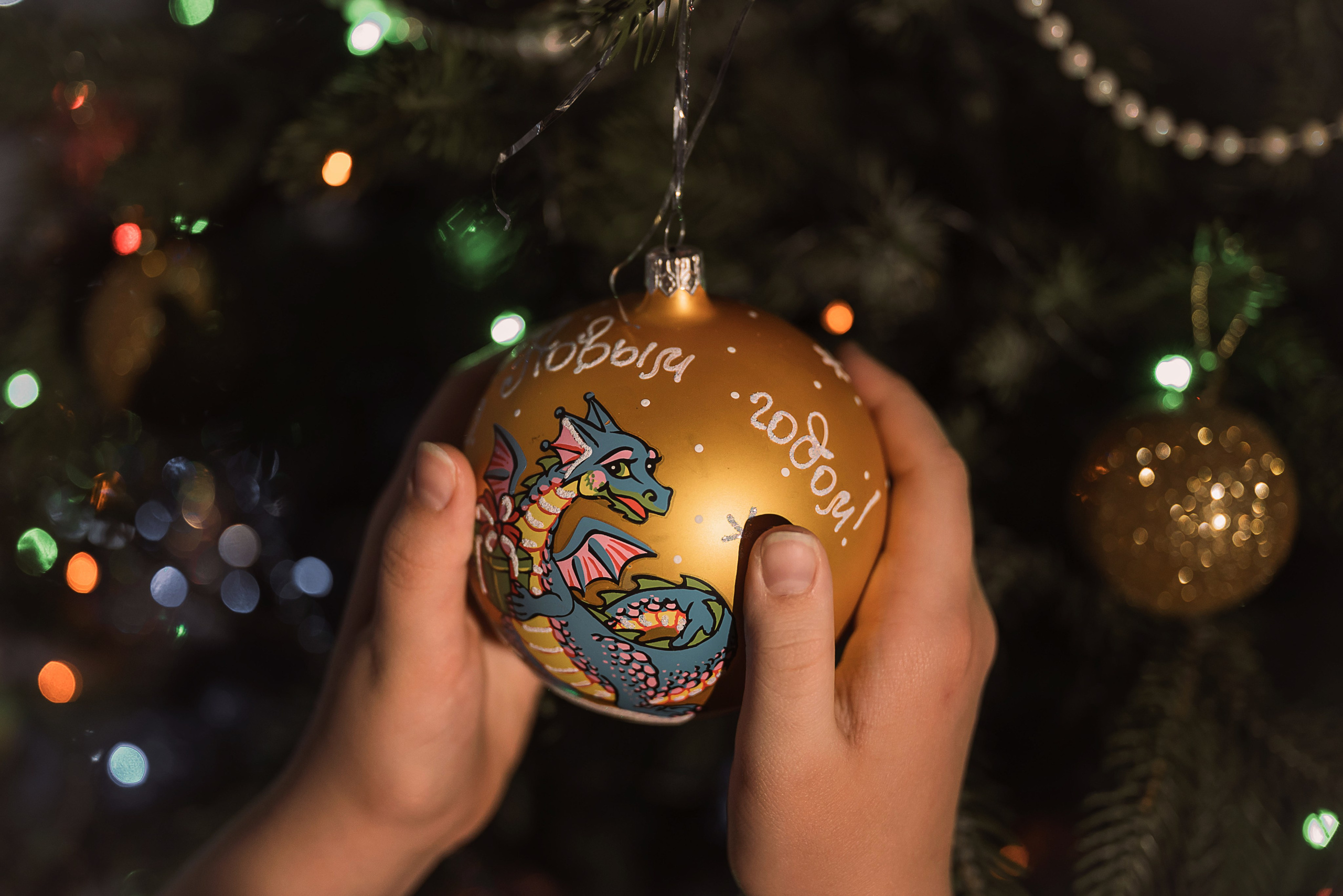 Год Дракона. Детский и семейный фотограф в Волоколамске Ирина Шарова