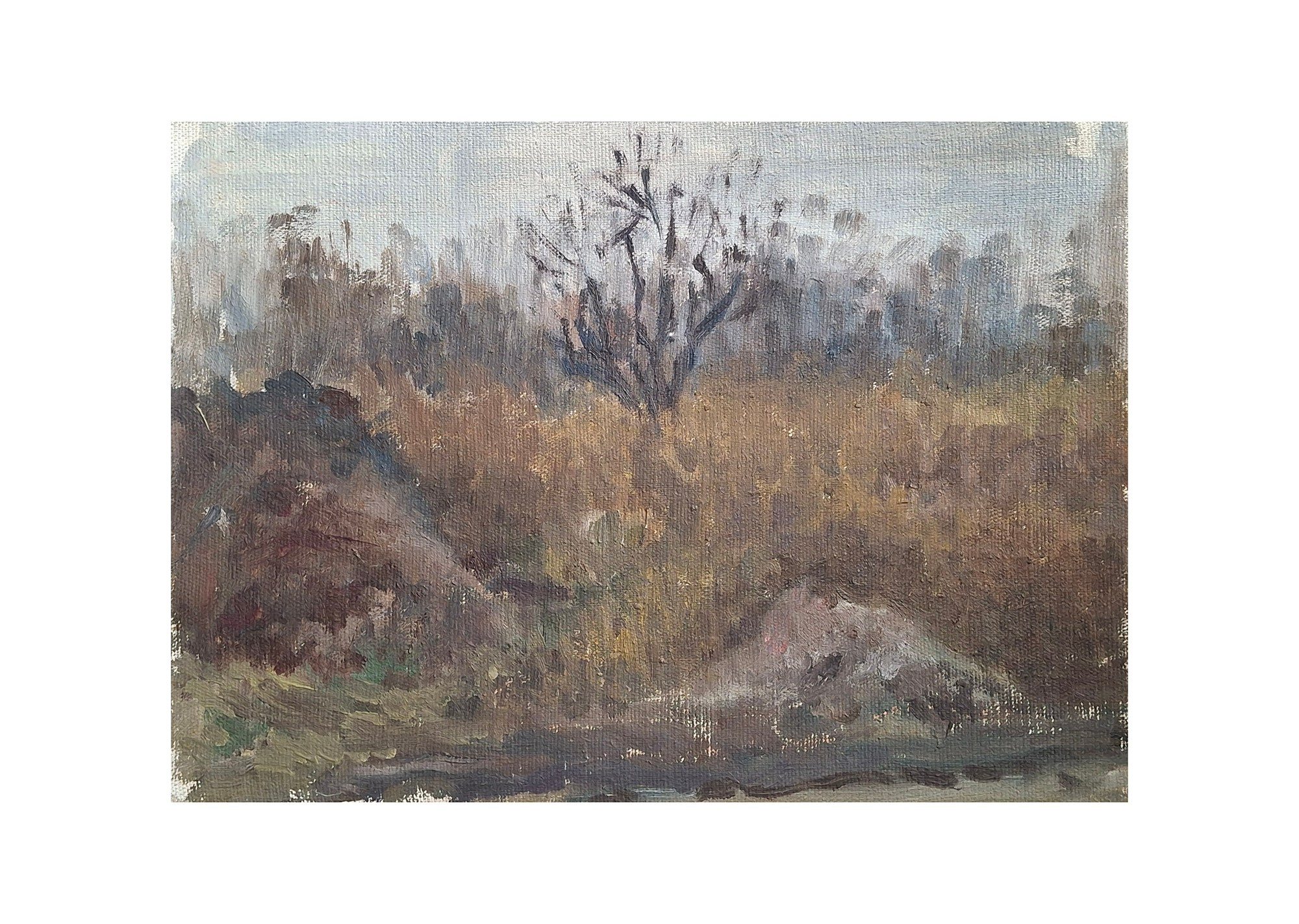 Arts & sketches. Max Matvich and Victoria Basova are professionals in their field