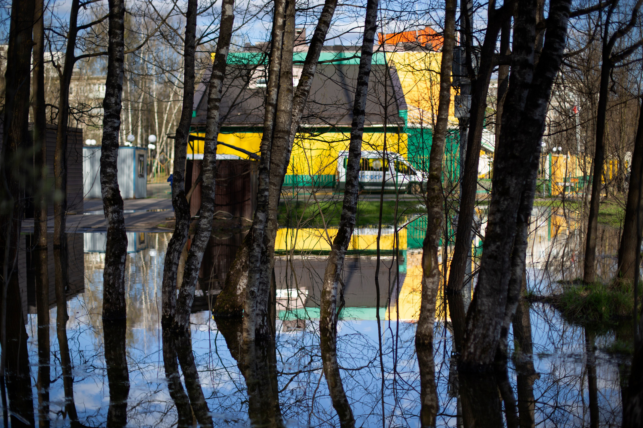 Фото. Фотограф Лагутин Анатолий