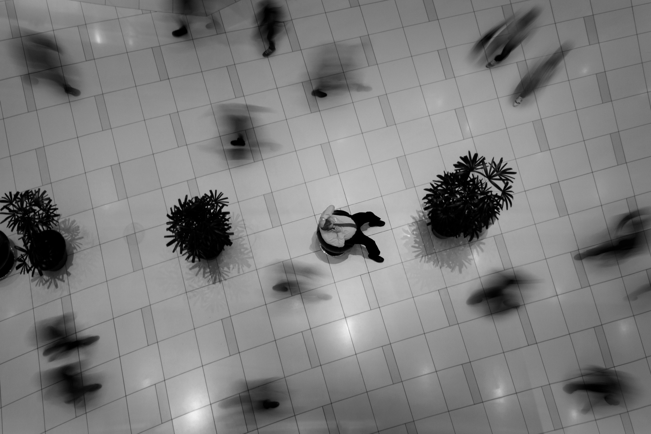 Жанр. Фотограф Лагутин Анатолий