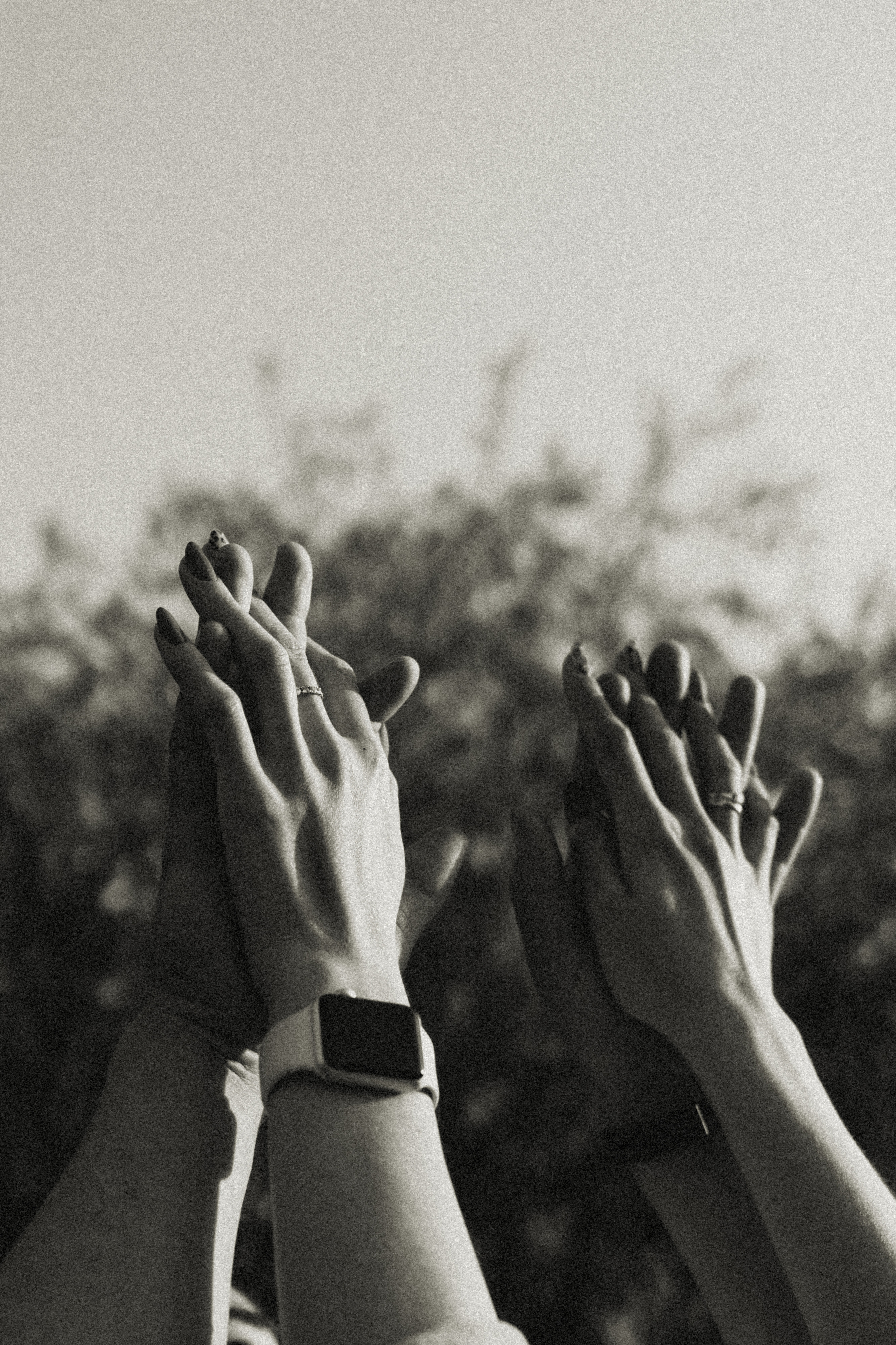 Лавстори для Рената и Айман. Главная