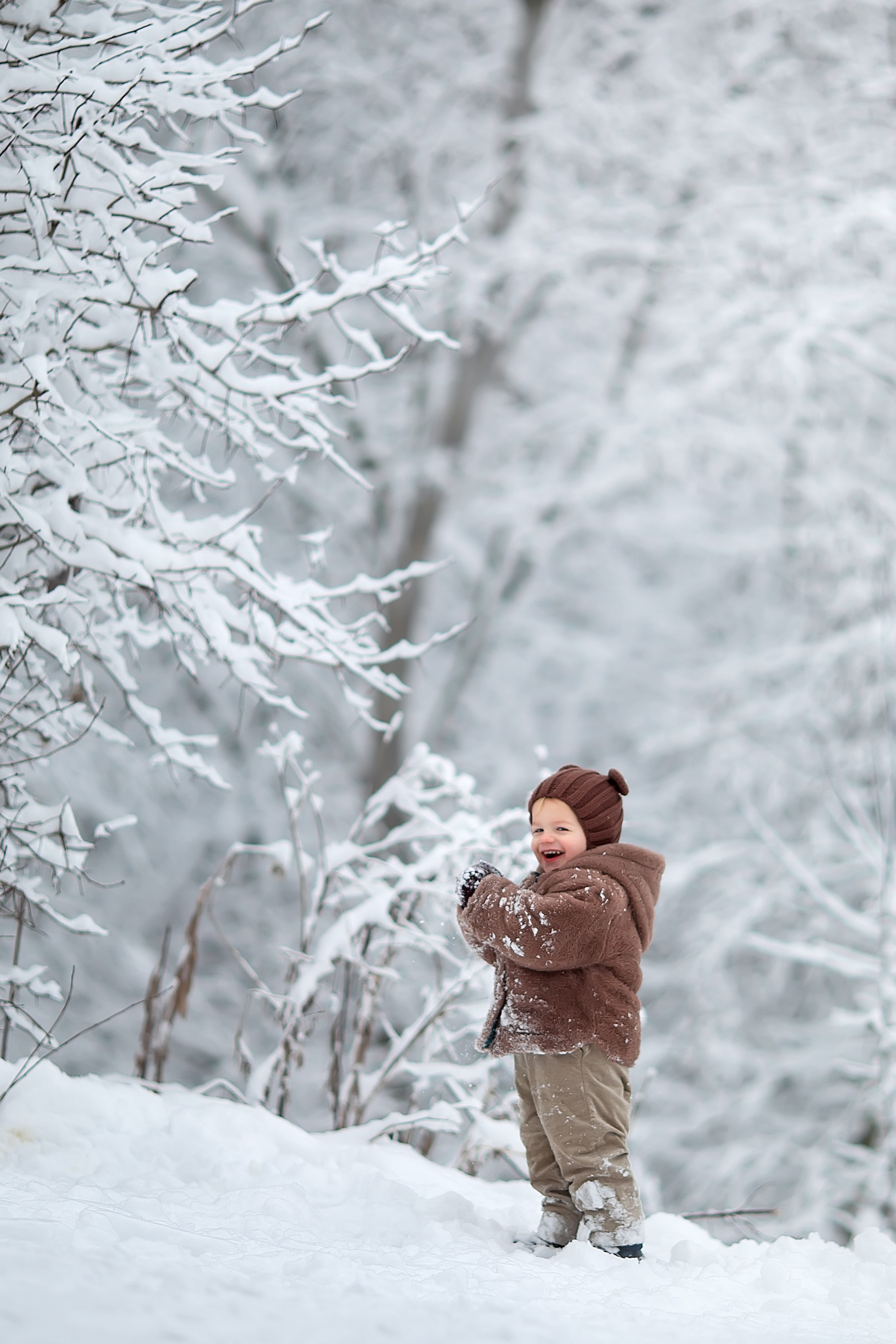 Волшебная зима. Главная