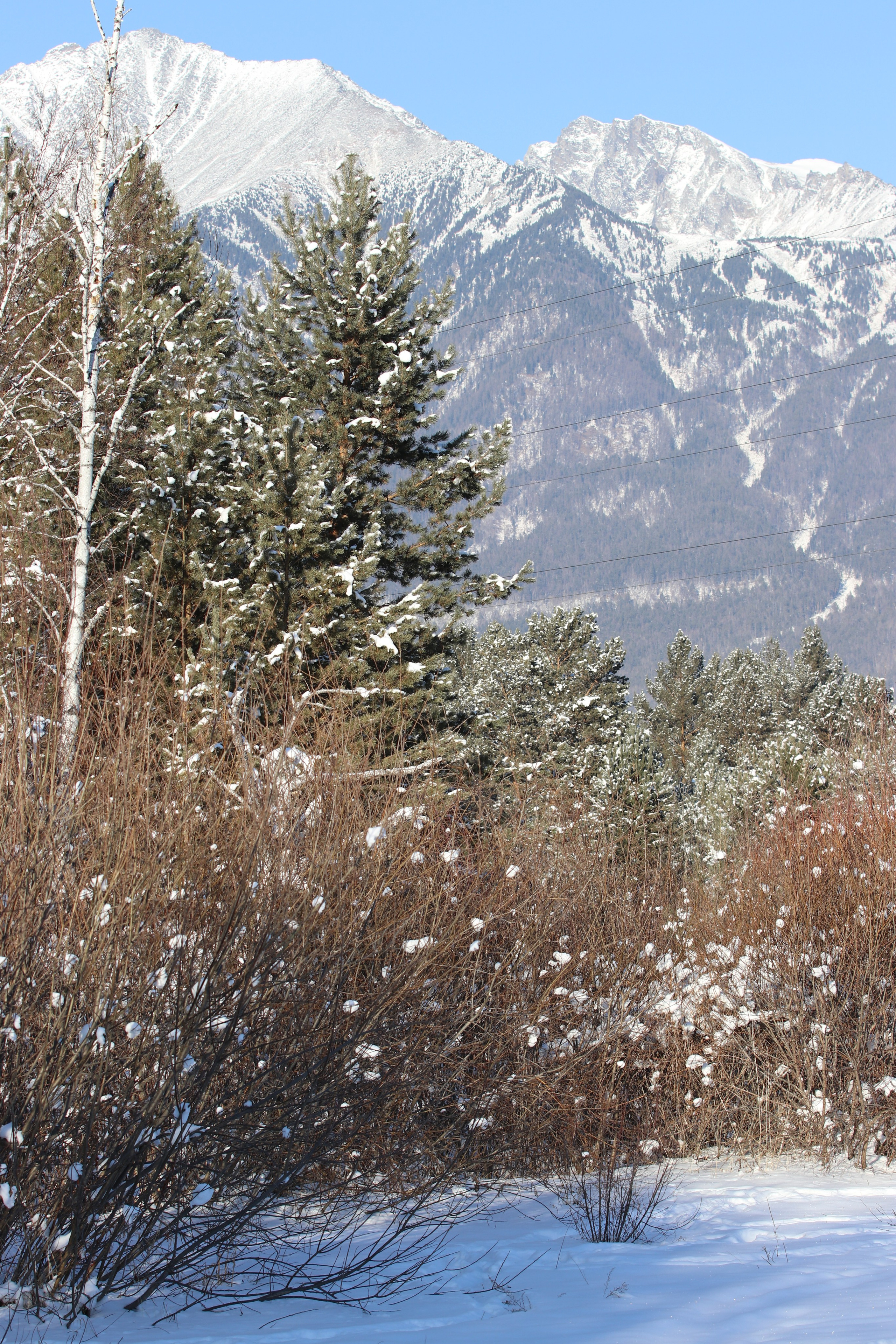Аршан. Январь 2022. Путешественник-фотограф из Санкт-Петербурга Татьяна Свистулина