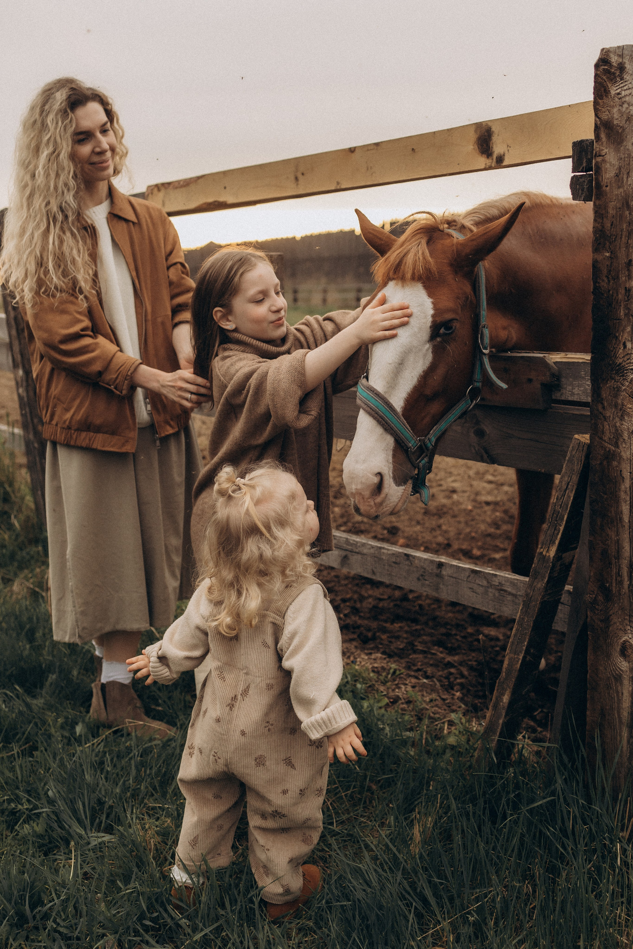 Семейная в поле. Эльвира Галимьянова — семейный фотограф Екатеринбурга