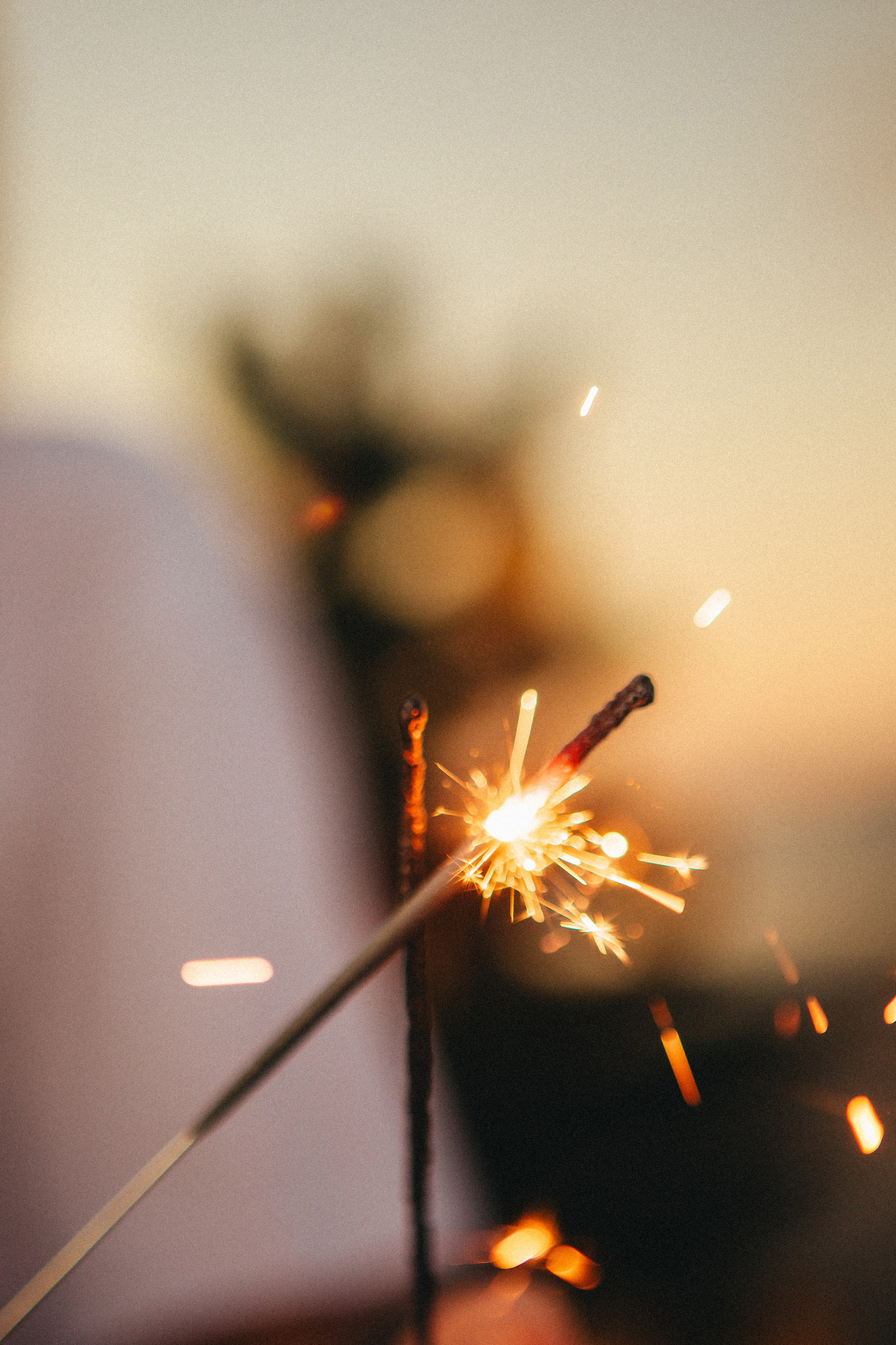 Новый год на море. Семейный и свадебный фотограф Сочи Адлер Сириус Красная поляна