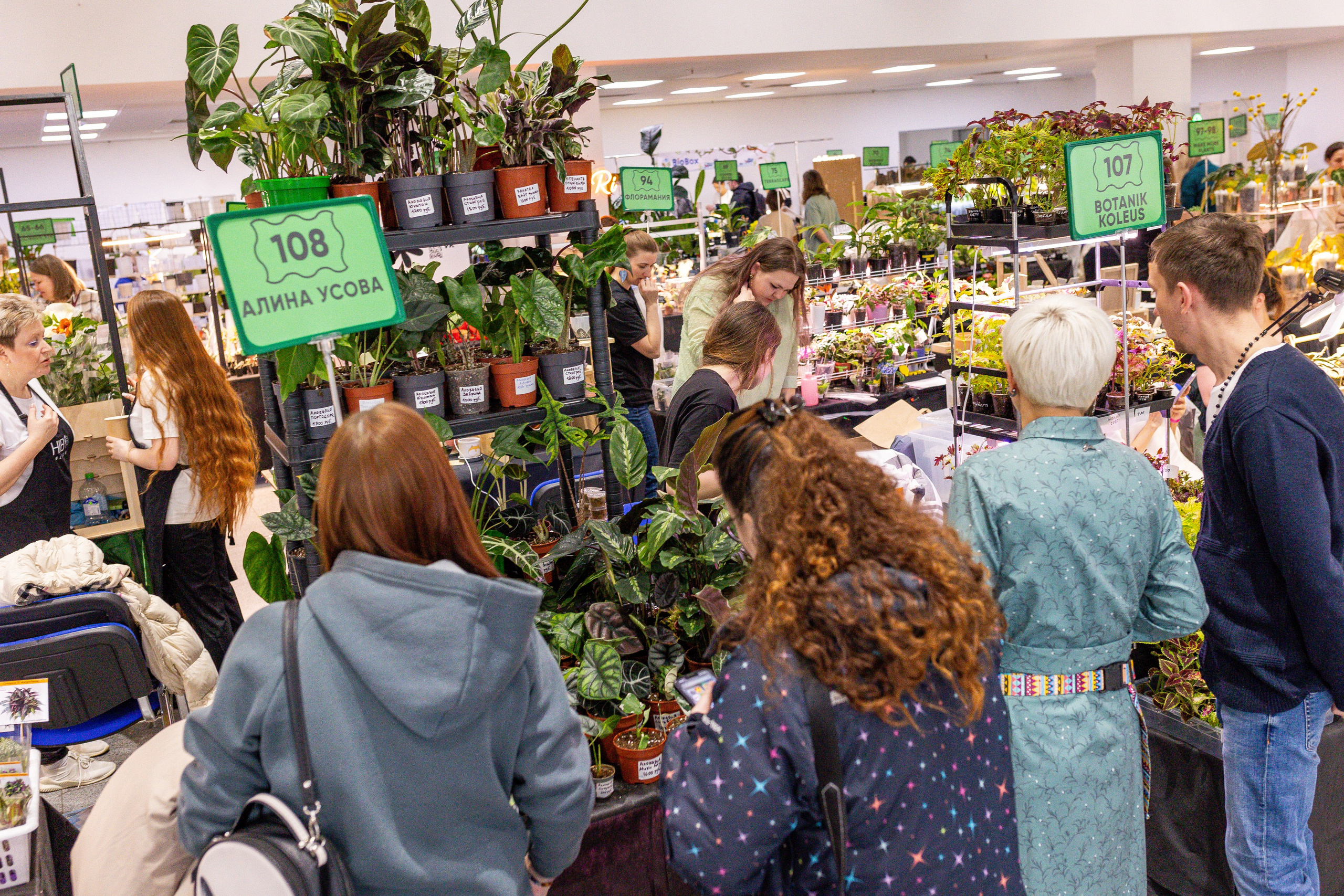 Монстериум апрель 2025. Александра Куликова фотограф, Москва