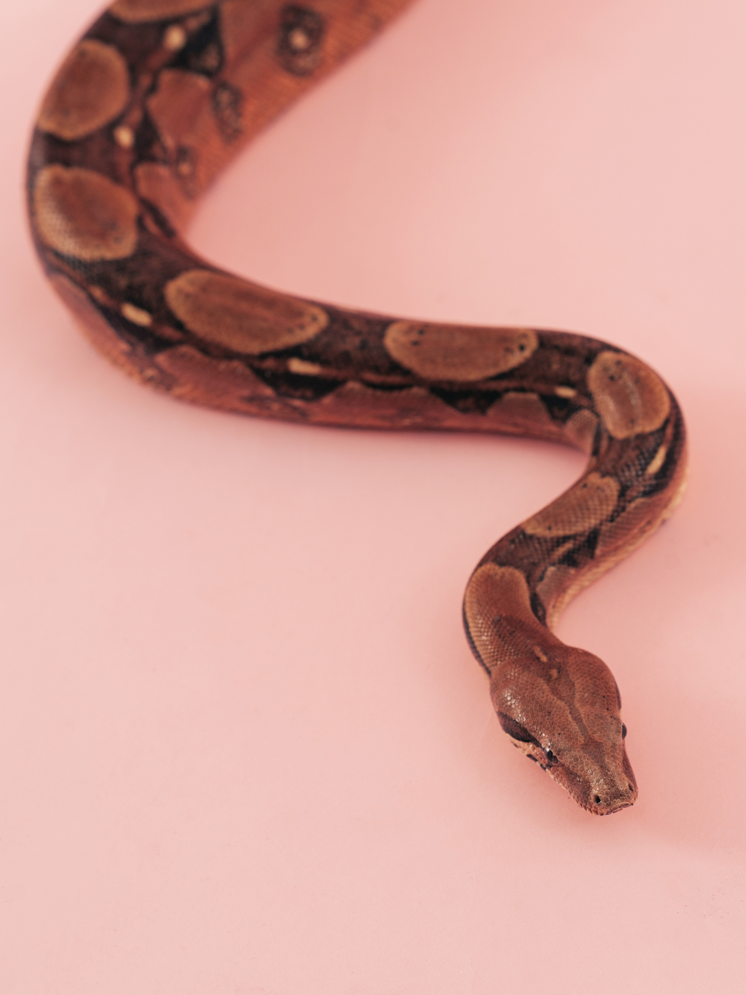 «Refractory» for NYLON magazine. Fashion-фотограф (фэшн-фотограф) в Москве Руслан Исинев (Ruslan Isinev)