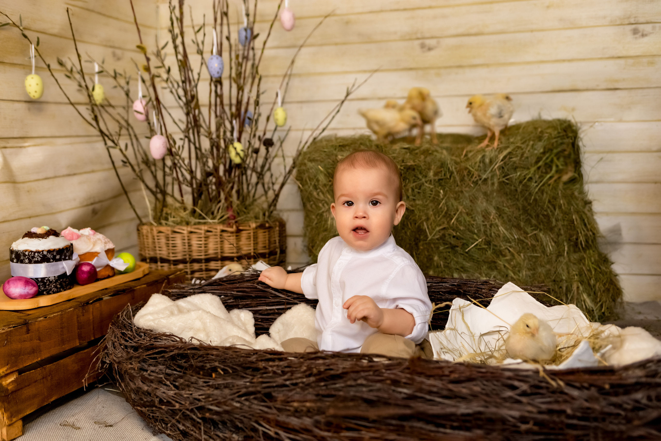 Пасхальный фотодень с цыплятами. Семейный и детский фотограф в Москве и МО Крюкова Надежда