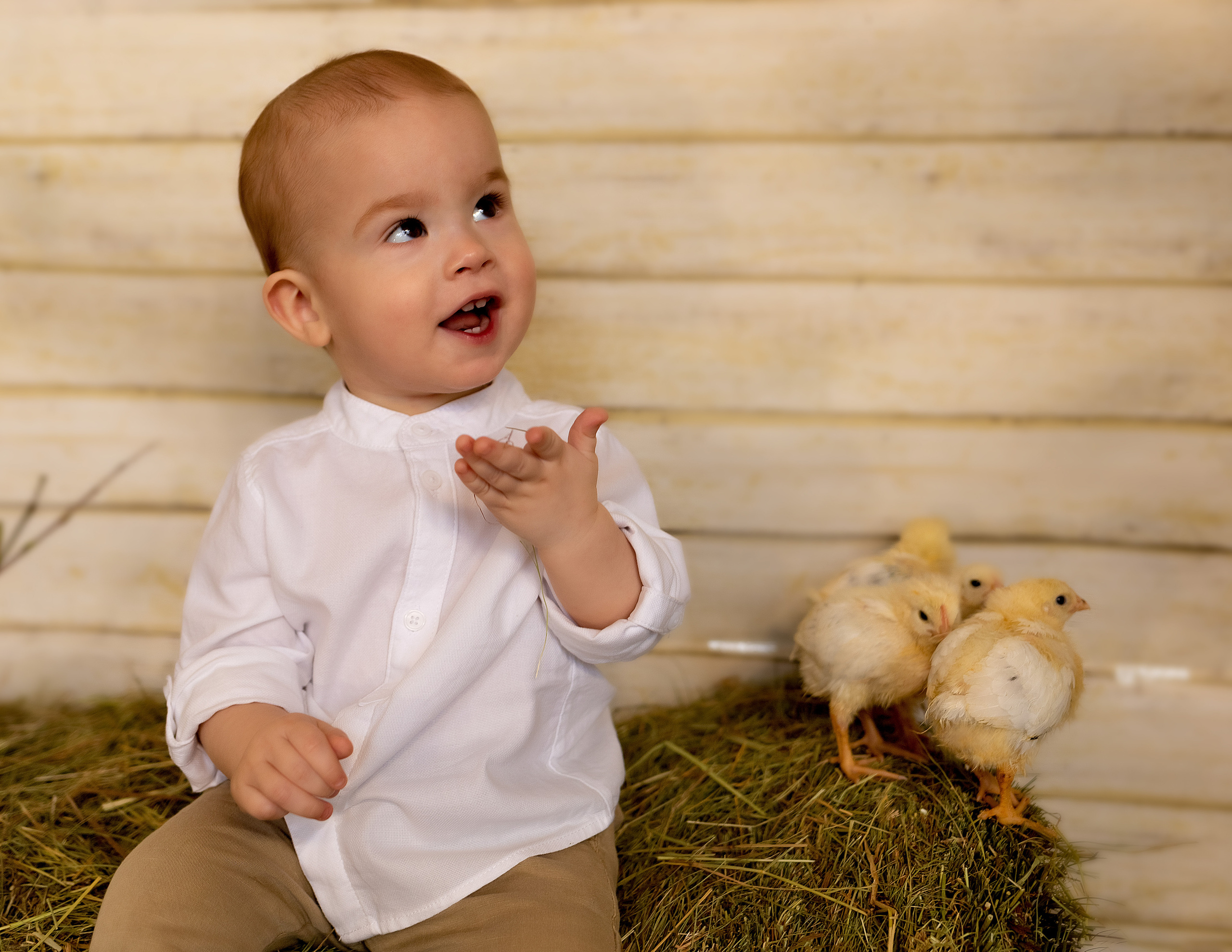 Пасхальный фотодень с цыплятами. Семейный и детский фотограф в Москве и МО Крюкова Надежда