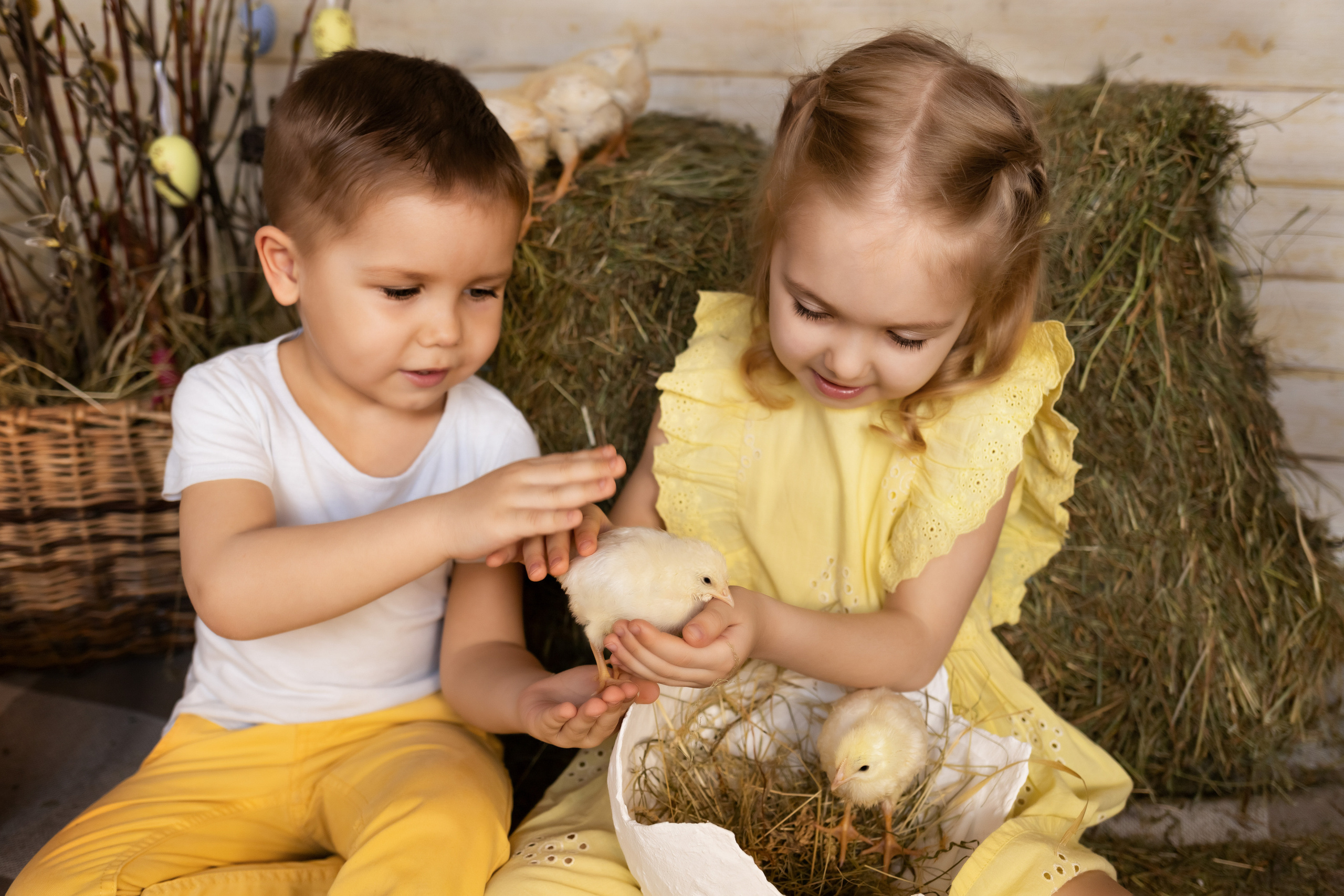 Пасхальный фотодень с цыплятами. Семейный и детский фотограф в Москве и МО Крюкова Надежда