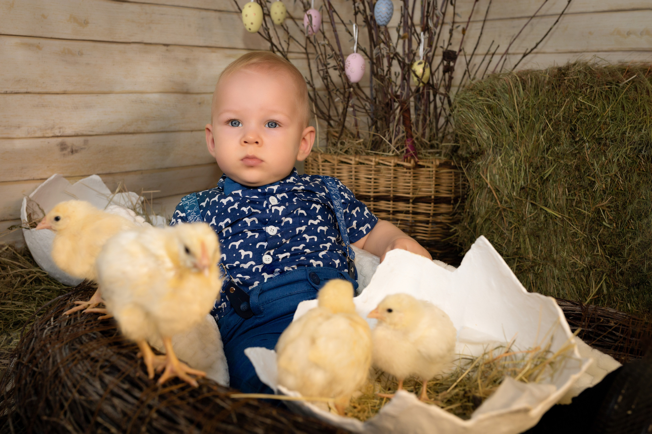 Пасхальный фотодень с цыплятами. Семейный и детский фотограф в Москве и МО Крюкова Надежда