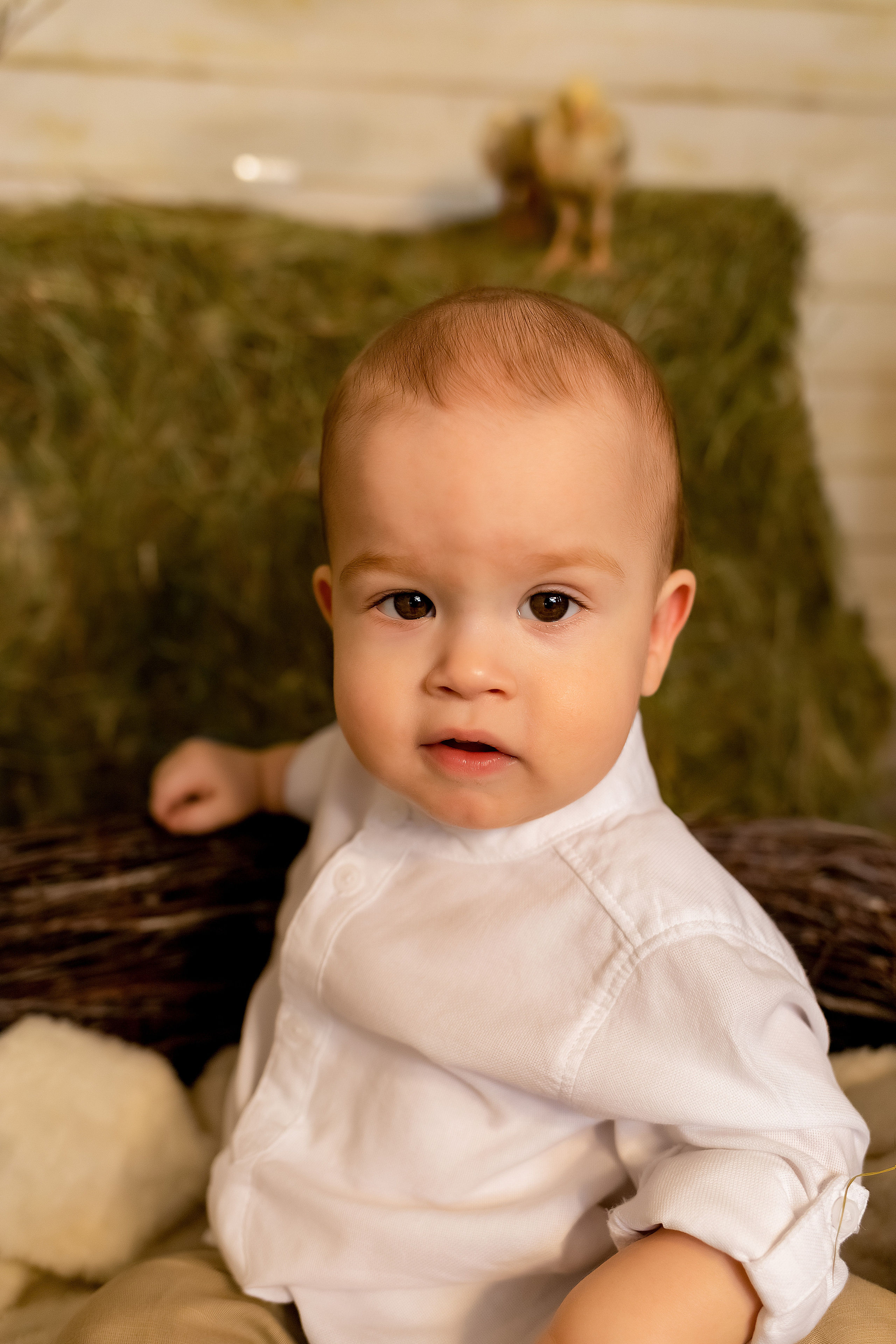 Пасхальный фотодень с цыплятами. Семейный и детский фотограф в Москве и МО Крюкова Надежда