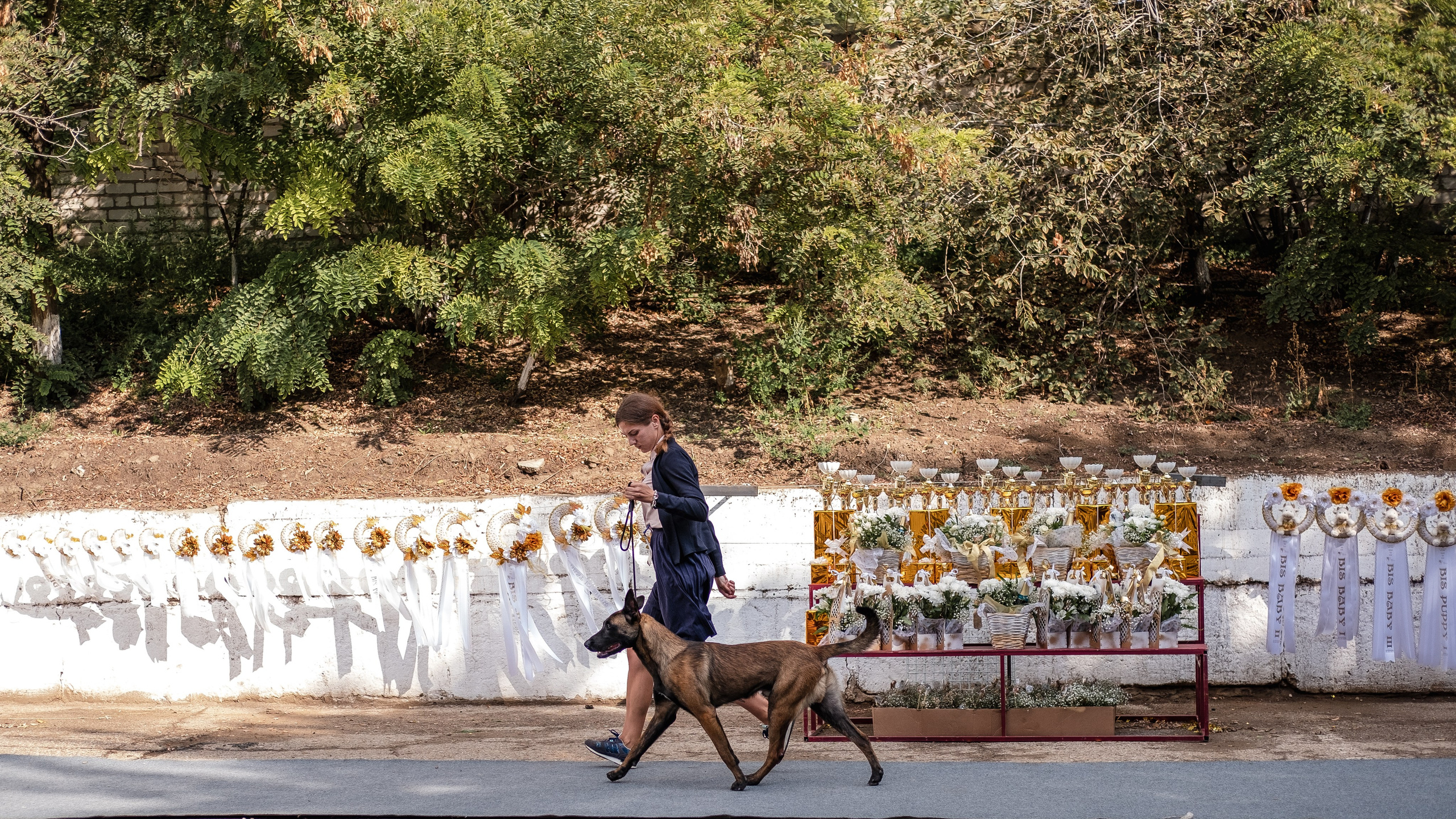 Выставки. Фотограф Марк Файзулин