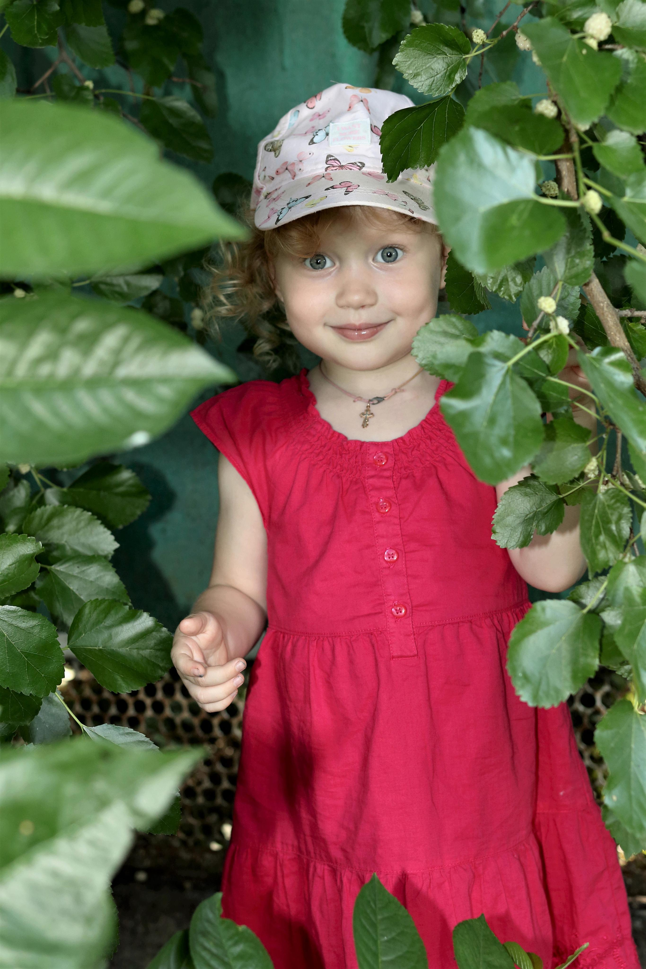 Алиса. Главная