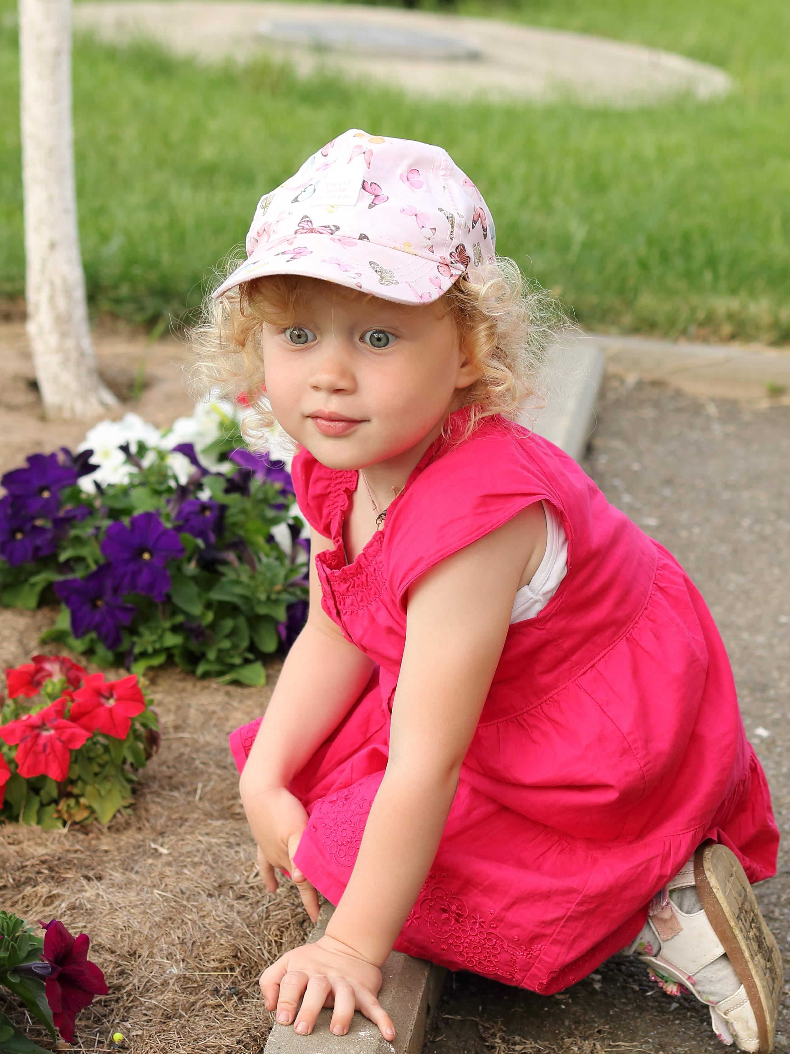 Алиса. Главная