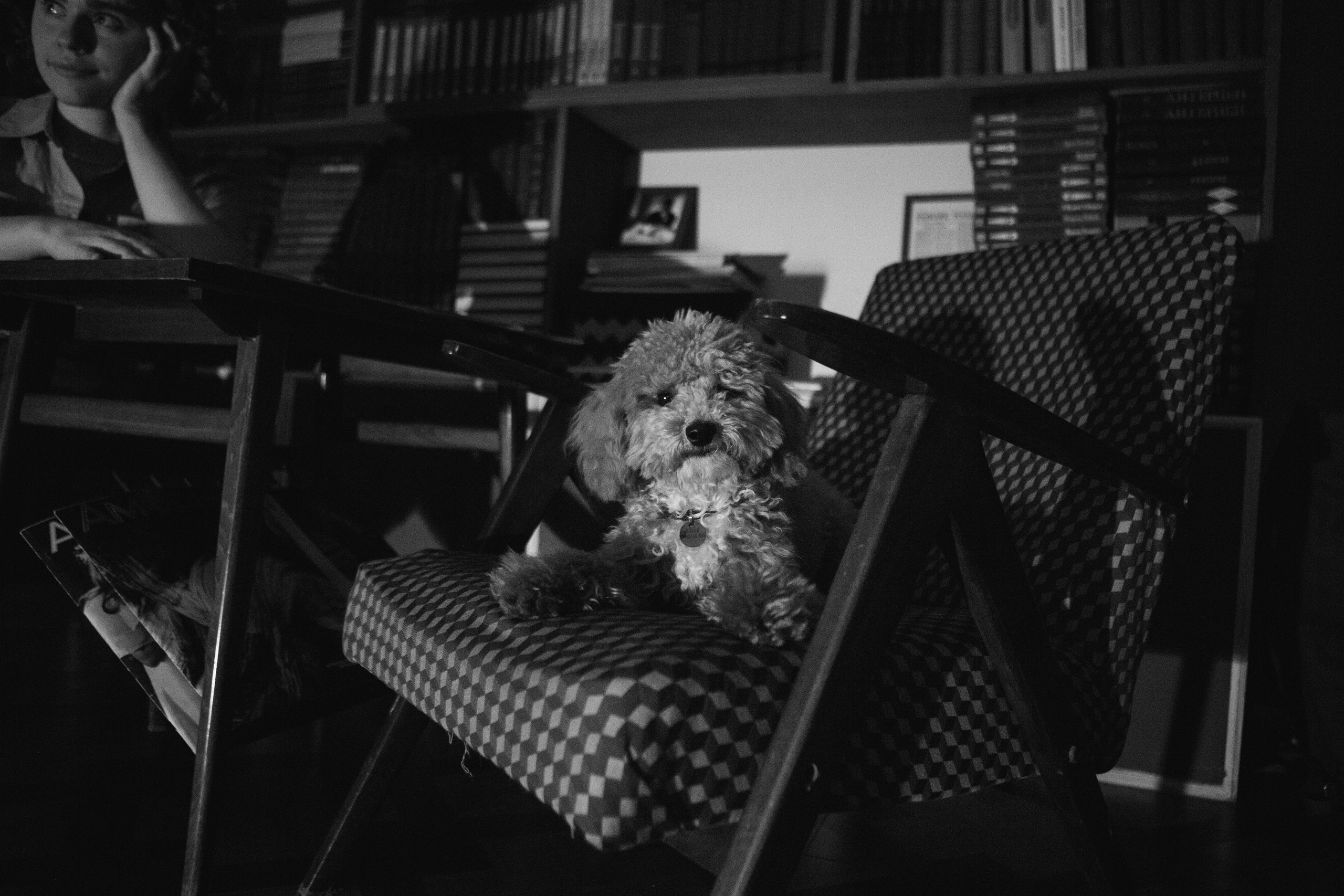 A cinematic daydream in the spirit of Wes Anderson’s style. Portrait, family and pet photographer in Cyprus, Ksenia Bourdelle
