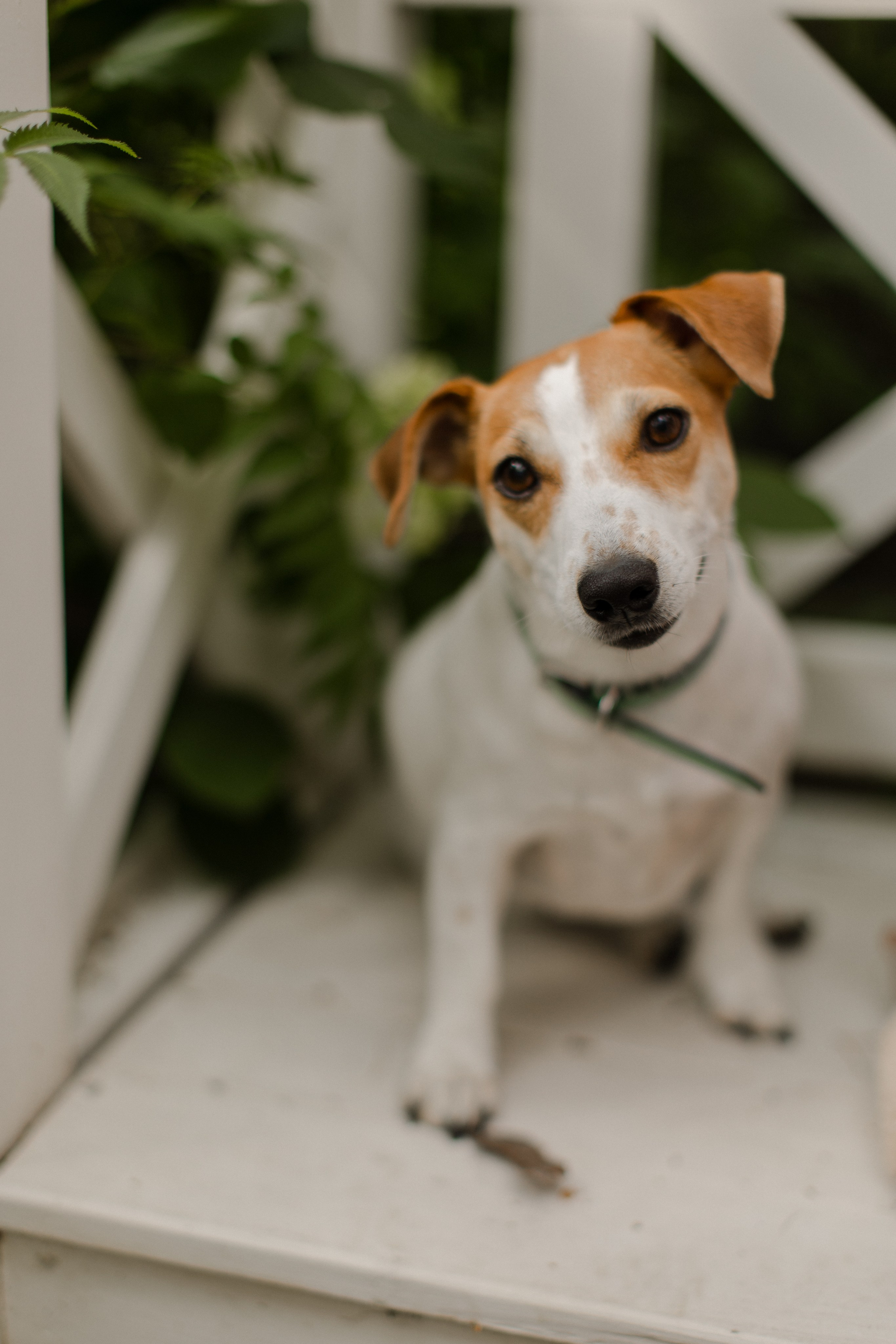 Семья. Семейный и детский фотограф в Москве Кузьмина Мария