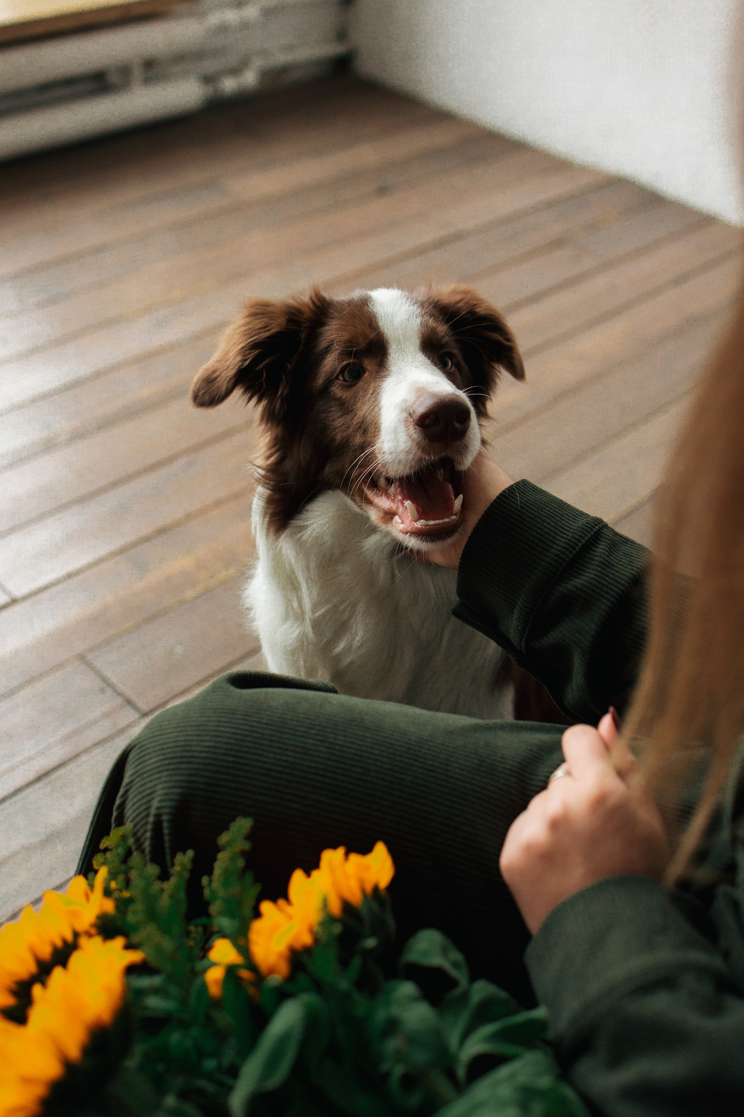 Настя и Симба. Фотограф — Анималист | Санкт-Петербург