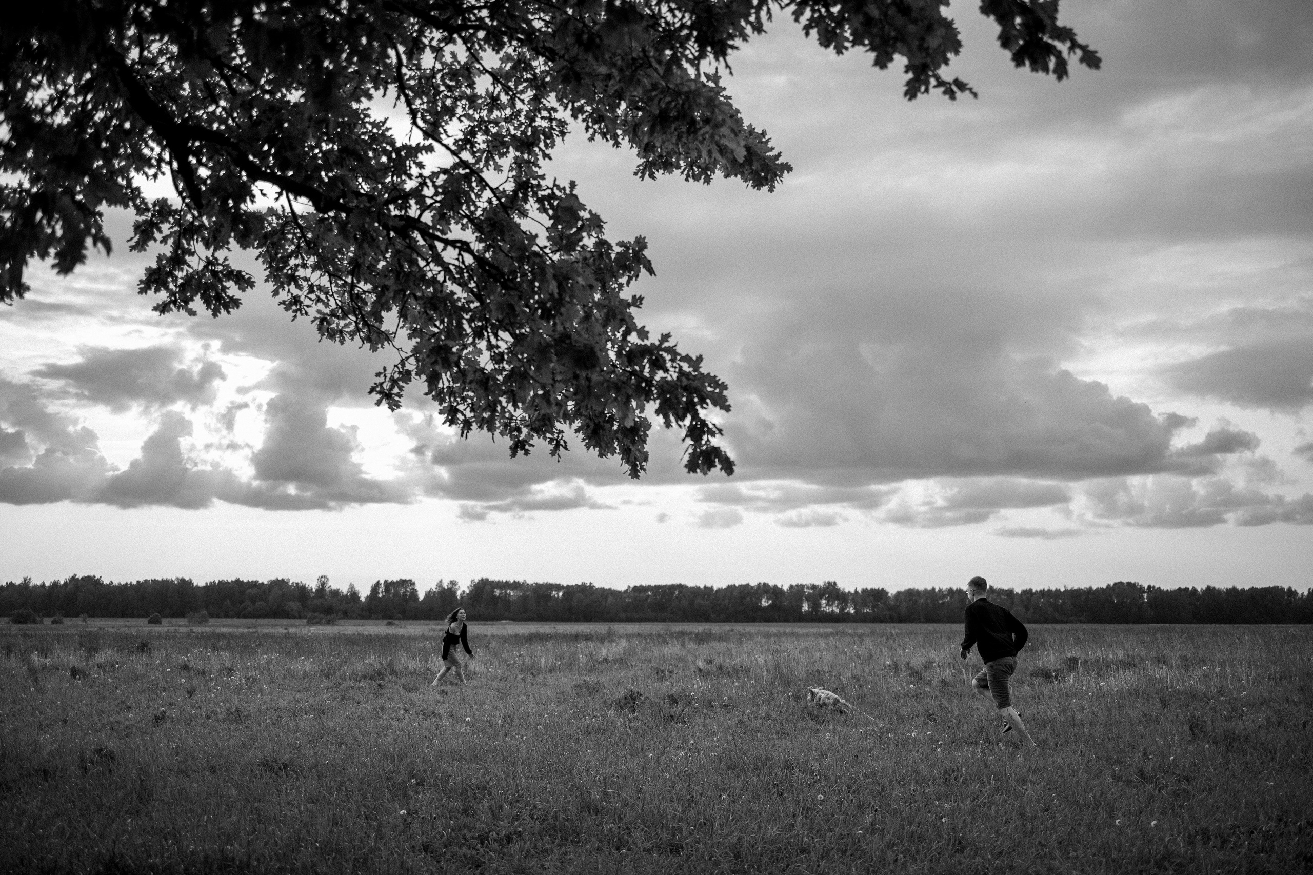 Мия и ее семья. Фотограф — Анималист | Санкт-Петербург