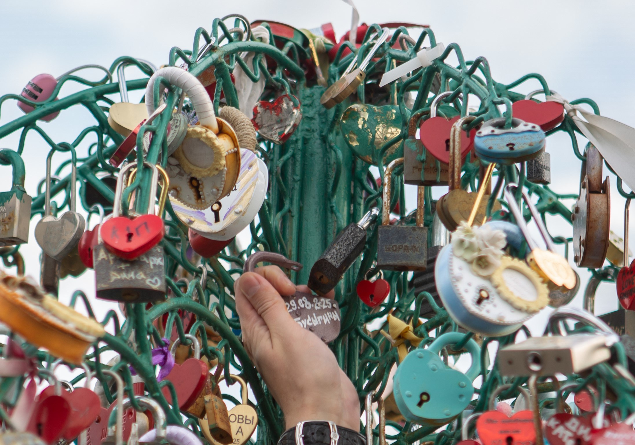 Александр и Свелана. Репортажный, семейный, свадебный, портретный фотограф