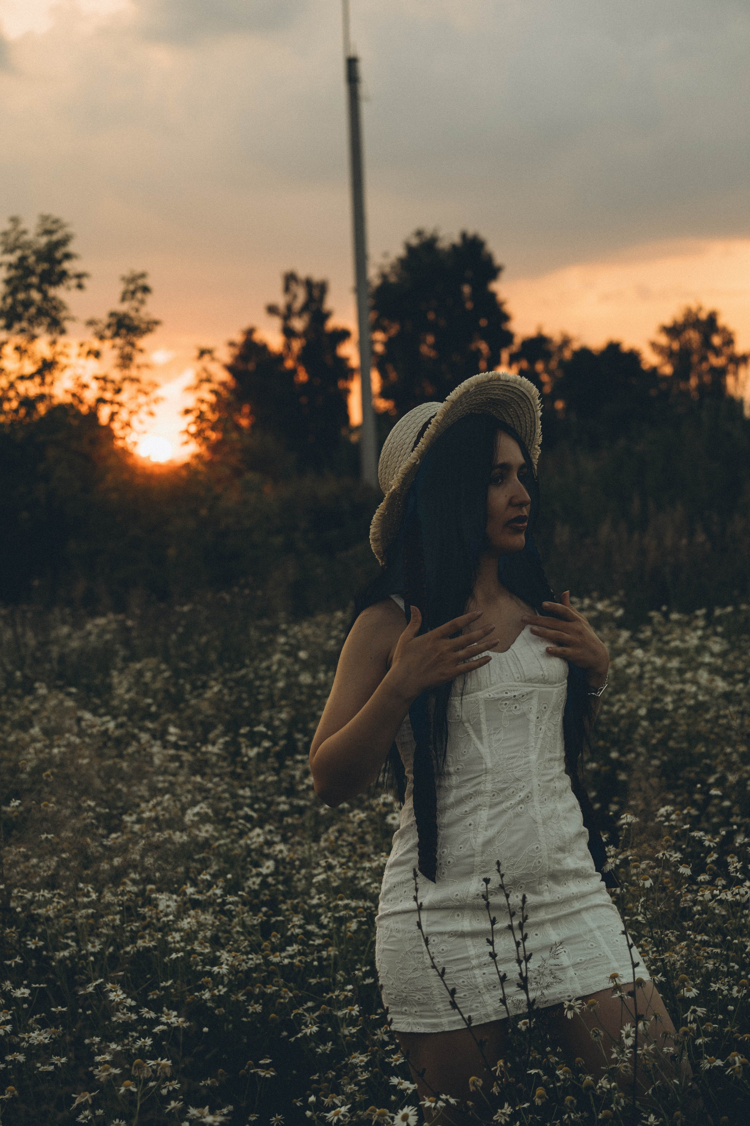 Ромашковое поле. Профессиональный фотограф, Санкт-Петербург — Виктория Богомолова