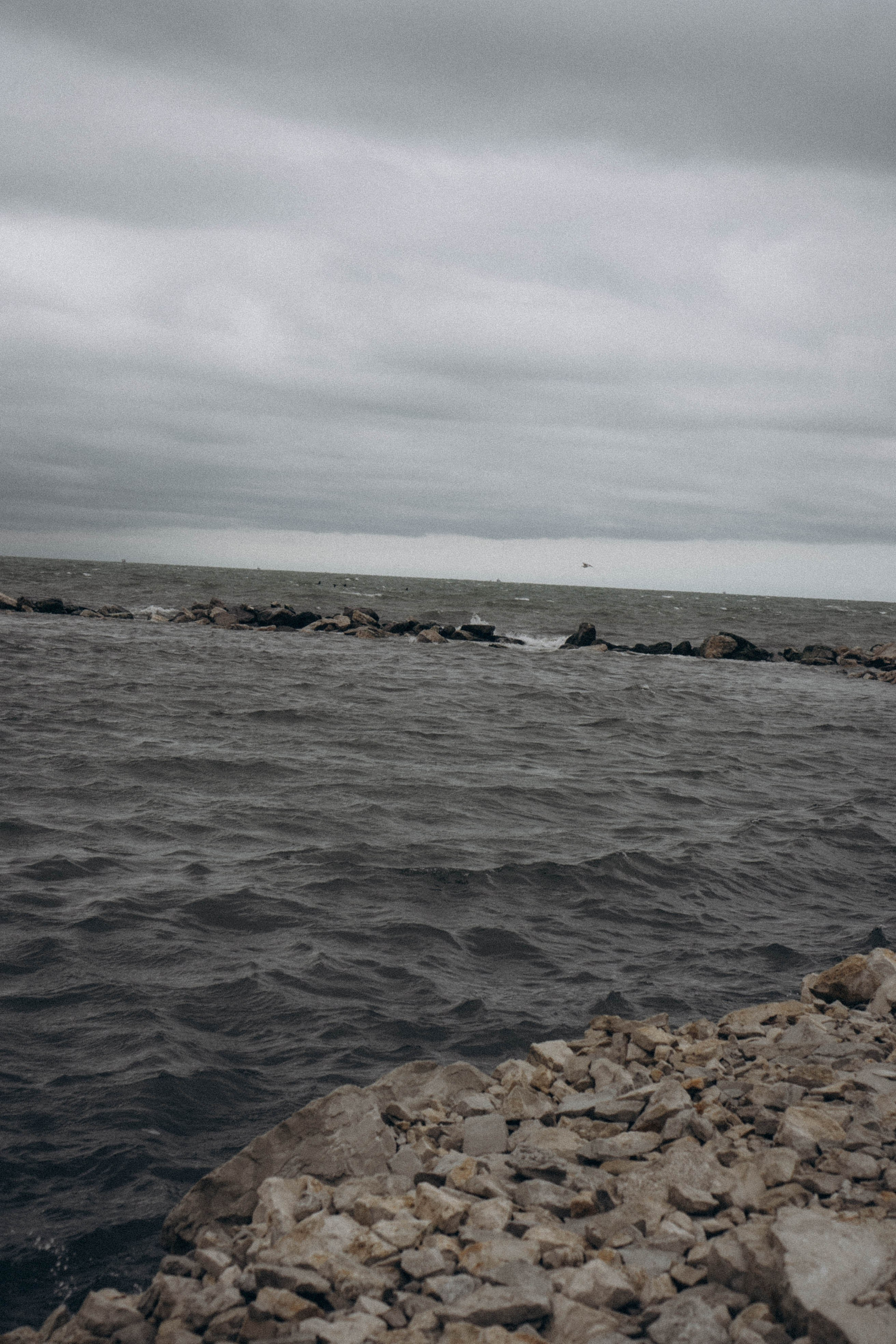 Кавказ. Профессиональный фотограф, Санкт-Петербург — Виктория Богомолова